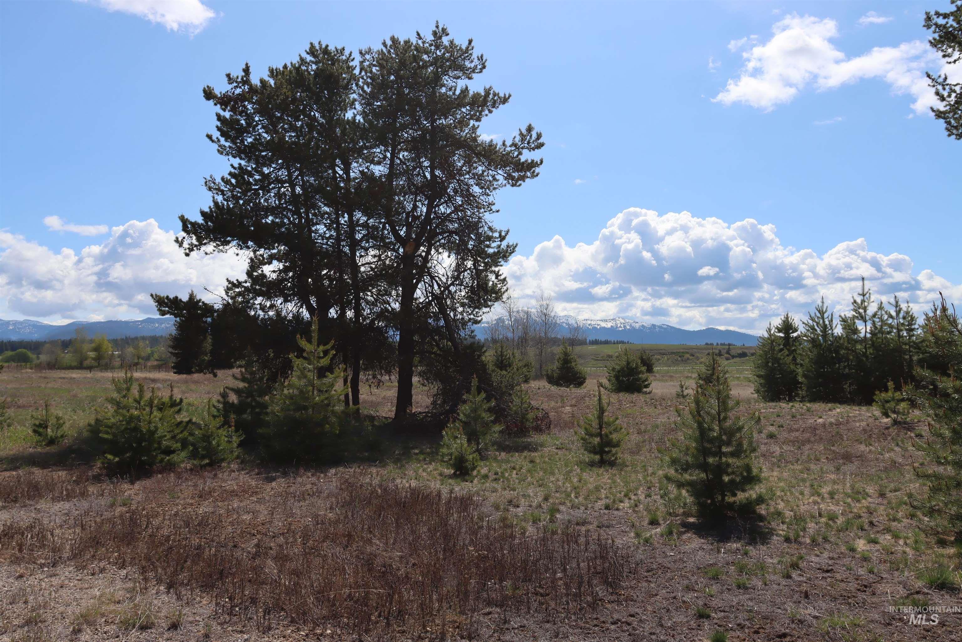 287 Rawhide Loop Property Photo 26