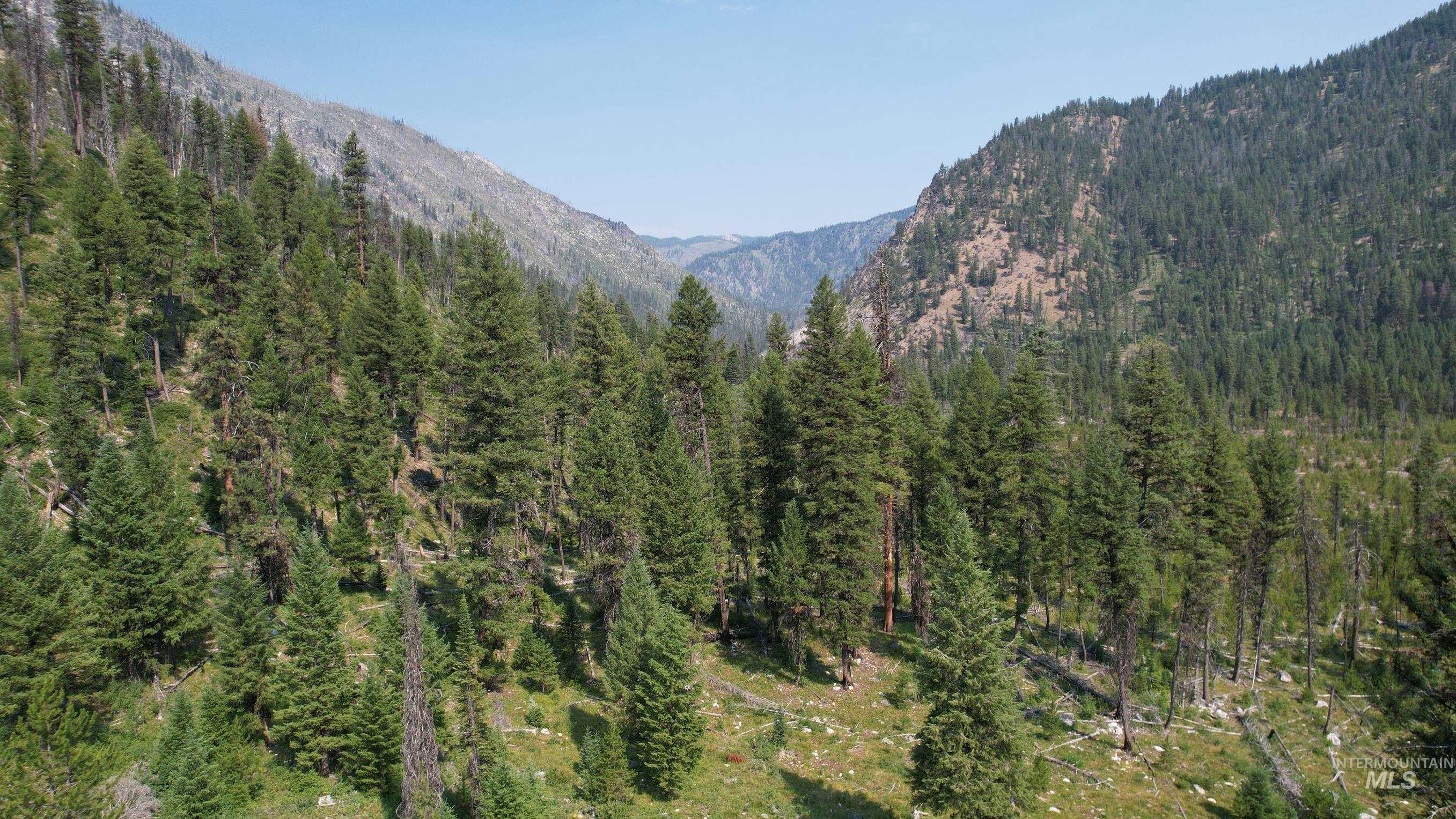 Tbd Johnson Creek Road Property Photo 2