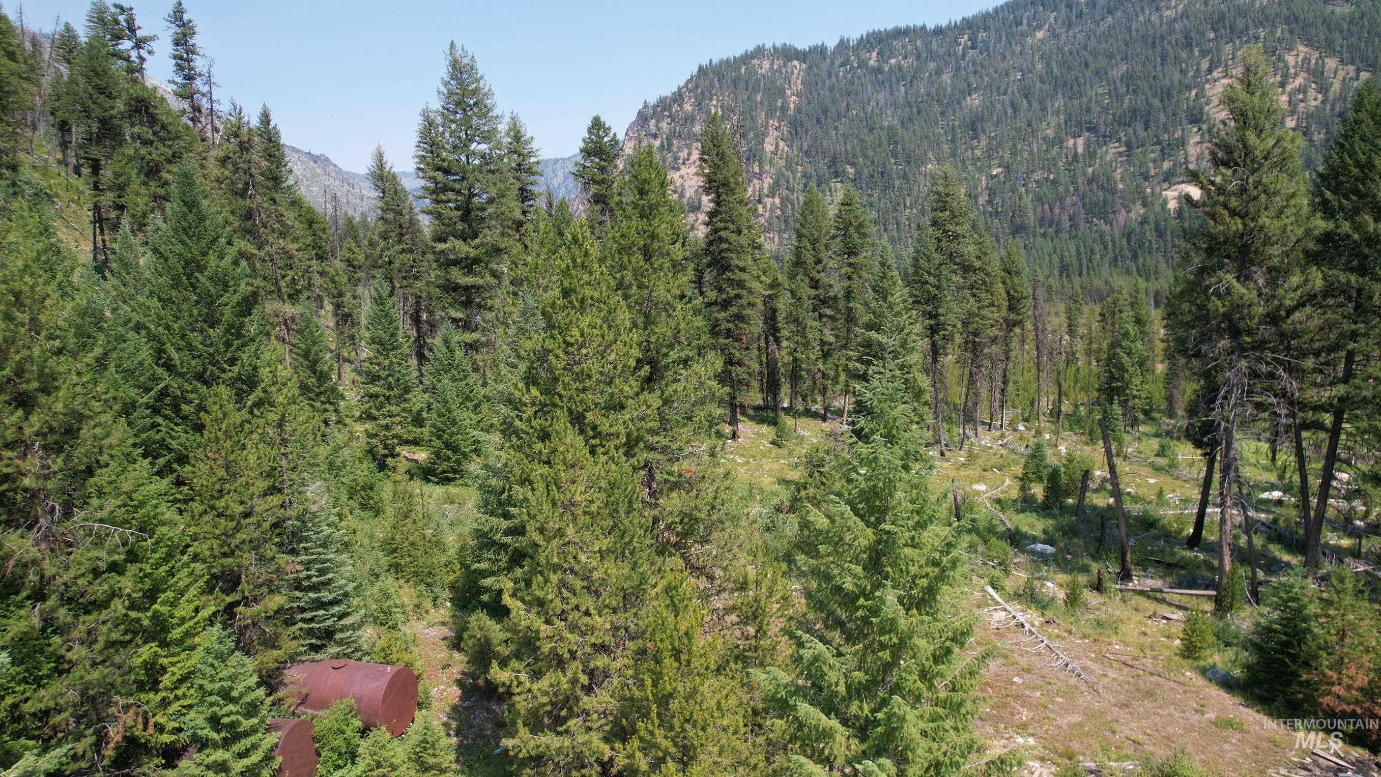 Tbd Johnson Creek Road Property Photo 13