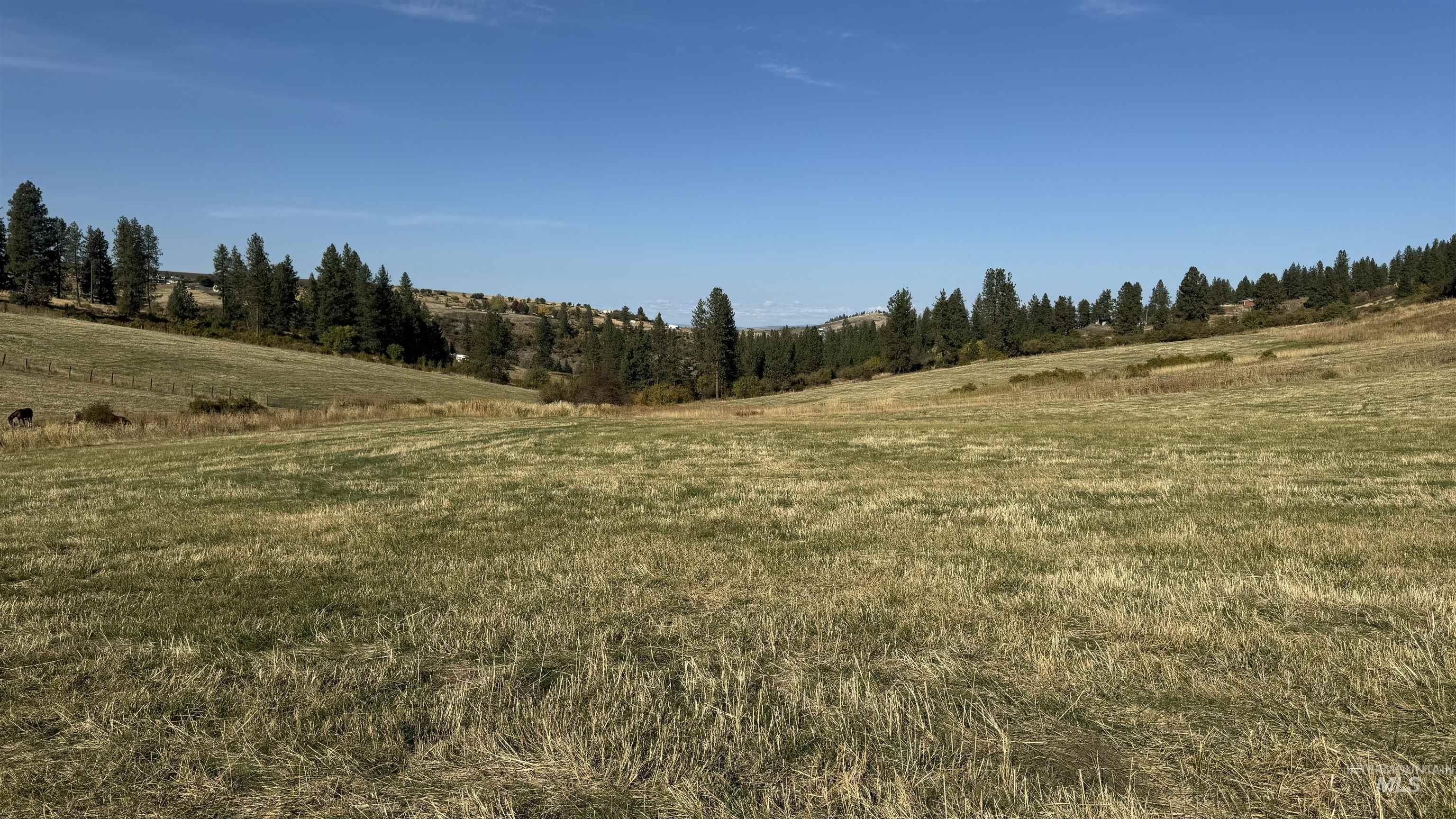 Tbd Highway 13 Parcel 4 Property Photo 4