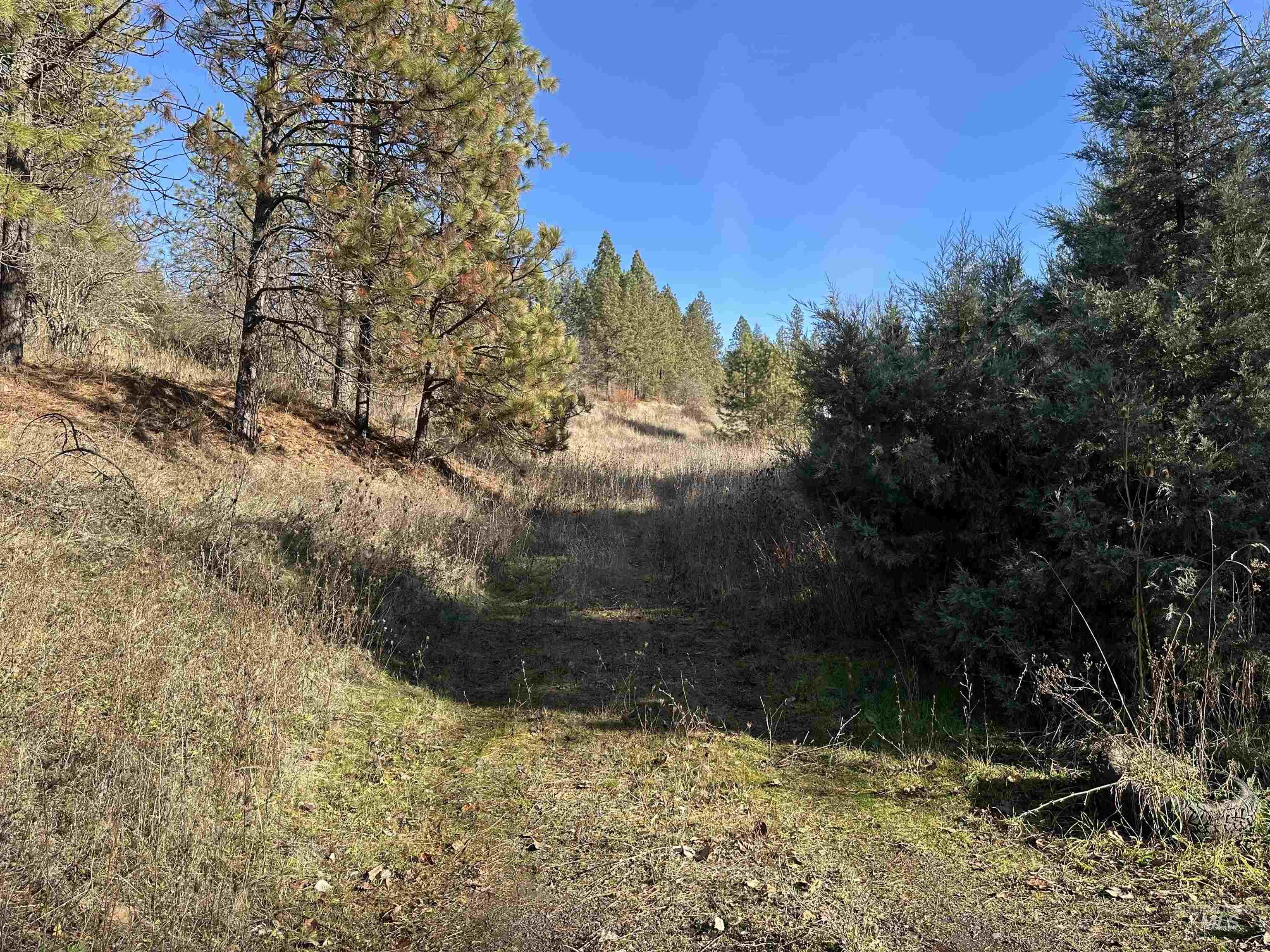 Lots 12, 13, 14 Valley View Property Photo 3