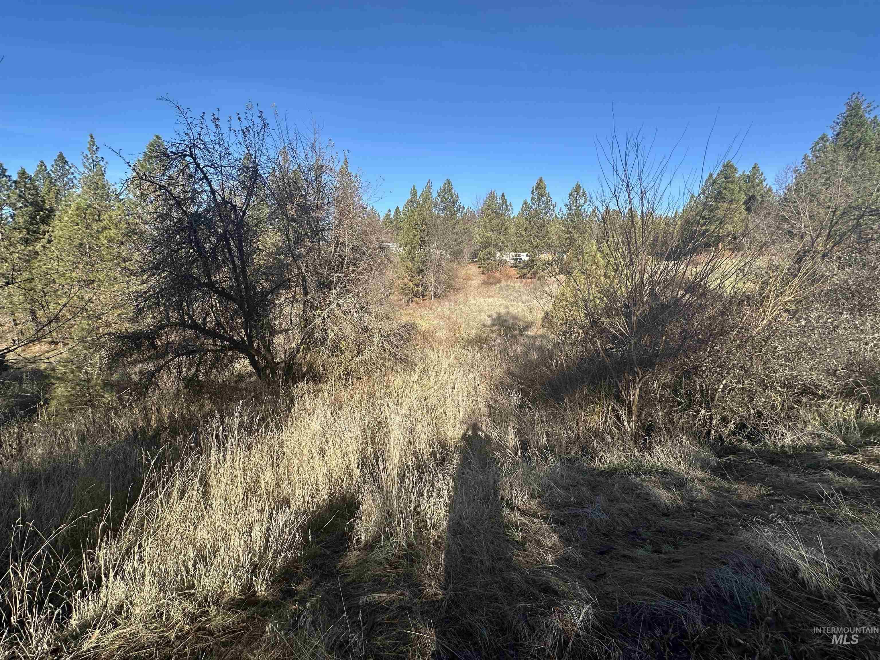 Lots 12, 13, 14 Valley View Property Photo 15