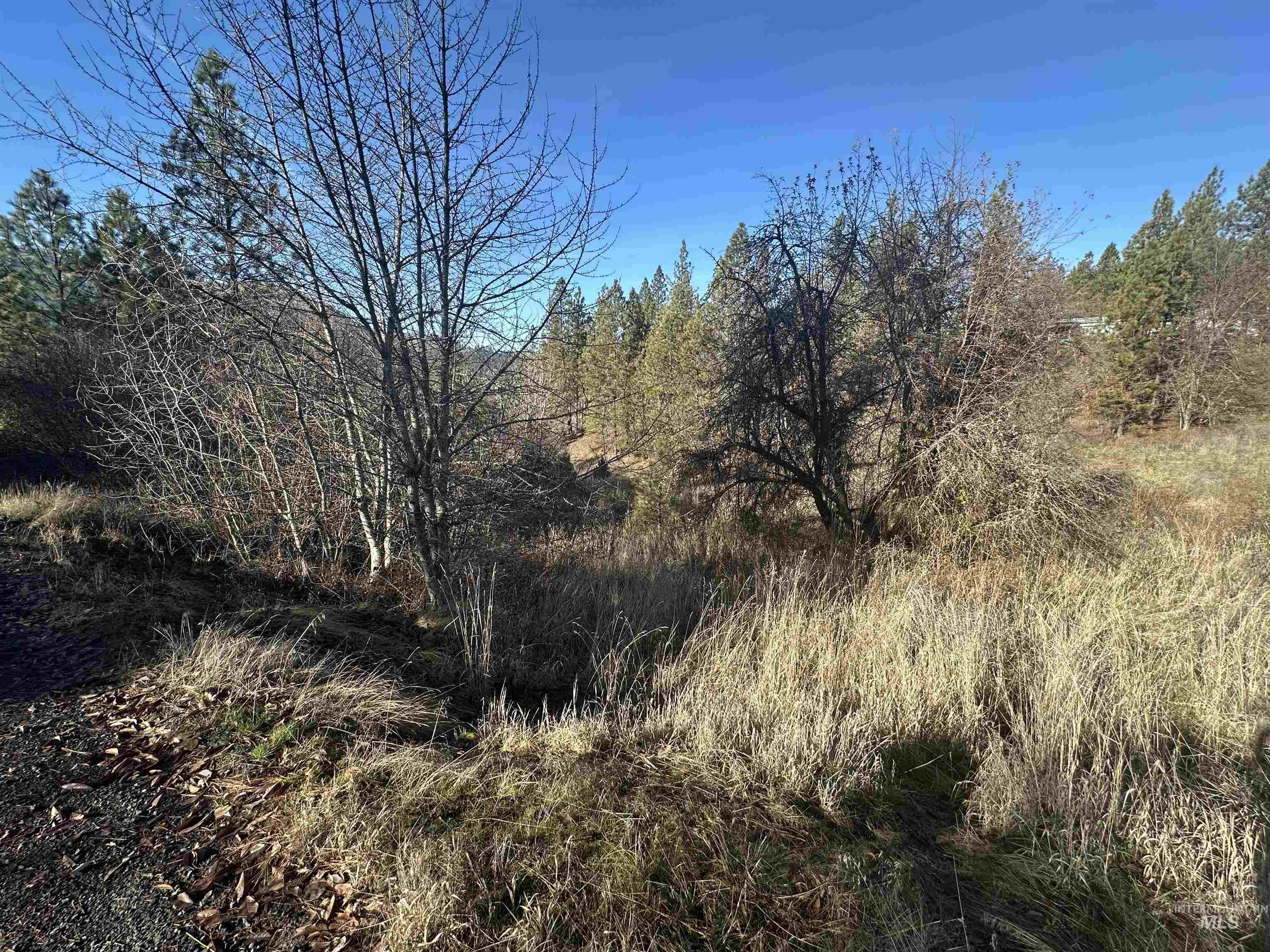 Lots 12, 13, 14 Valley View Property Photo 16