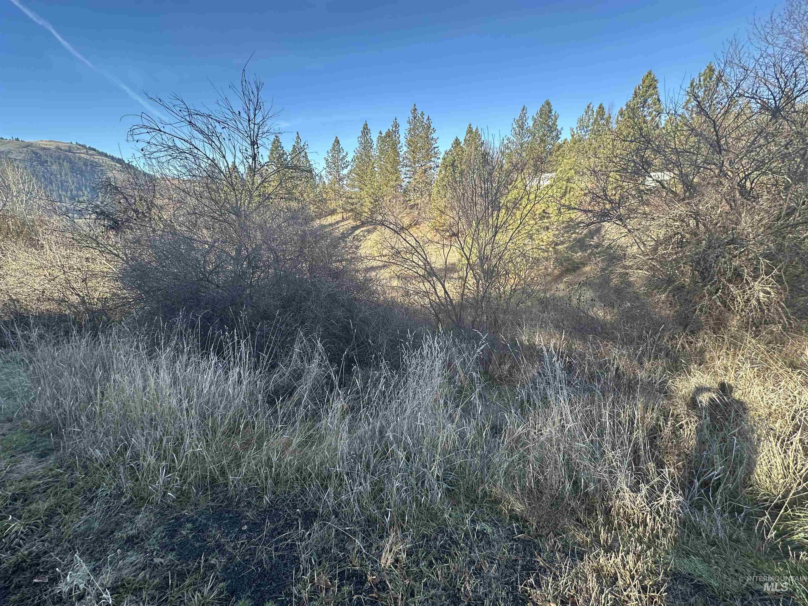 Lots 12, 13, 14 Valley View Property Photo 18