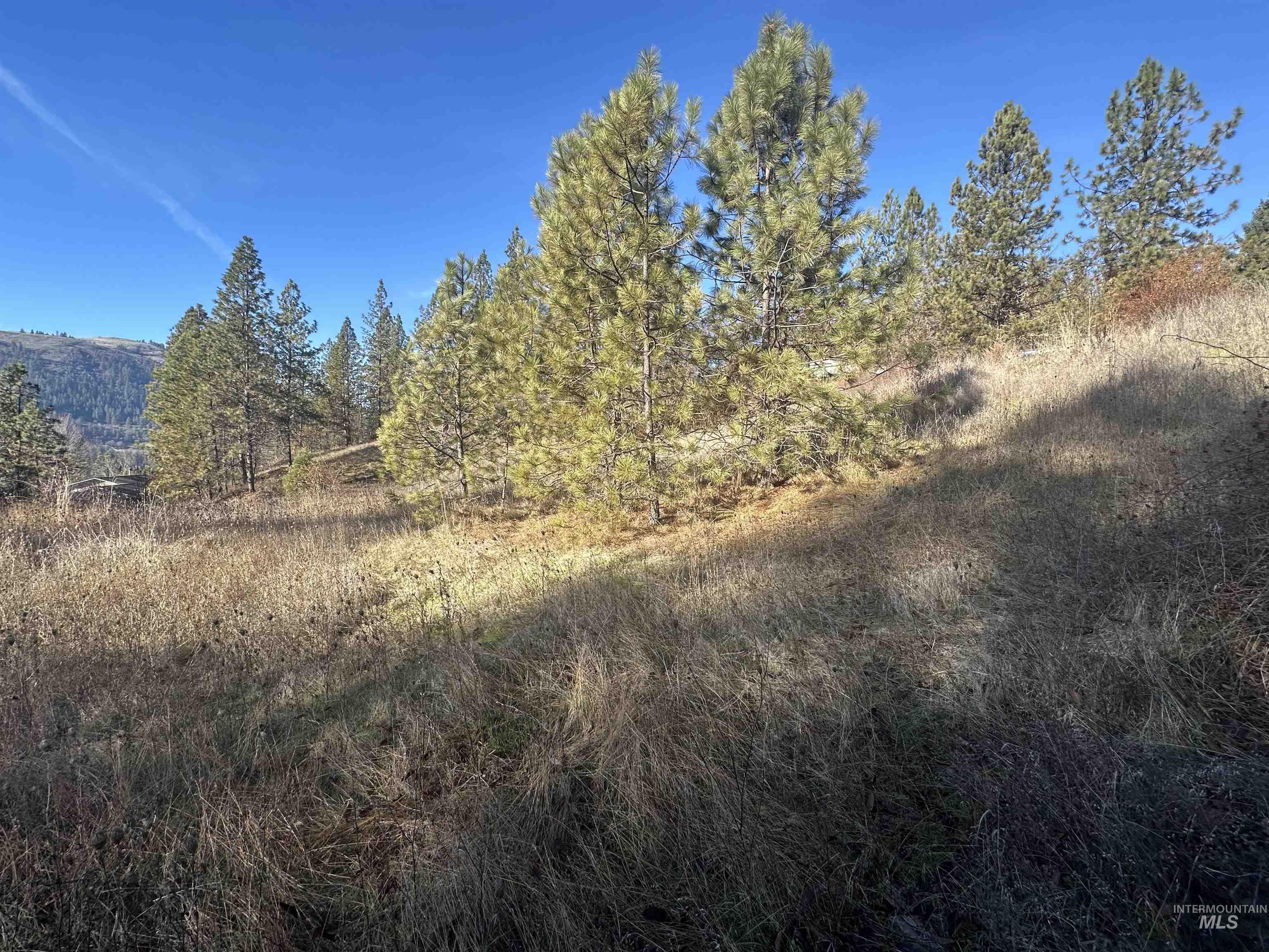 Lots 12, 13, 14 Valley View Property Photo 27