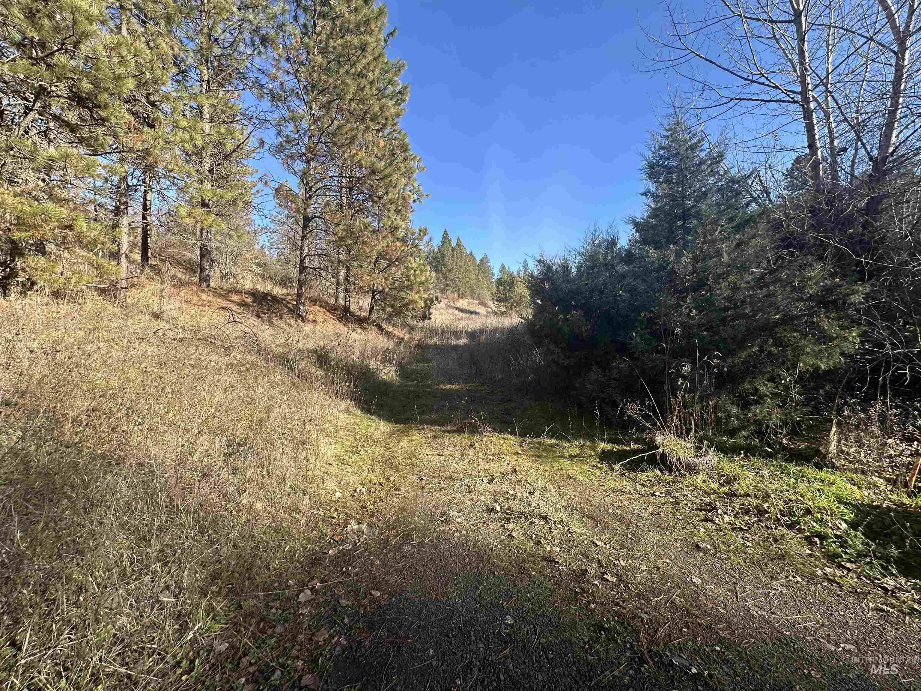 Lots 12, 13, 14 Valley View Property Photo 29