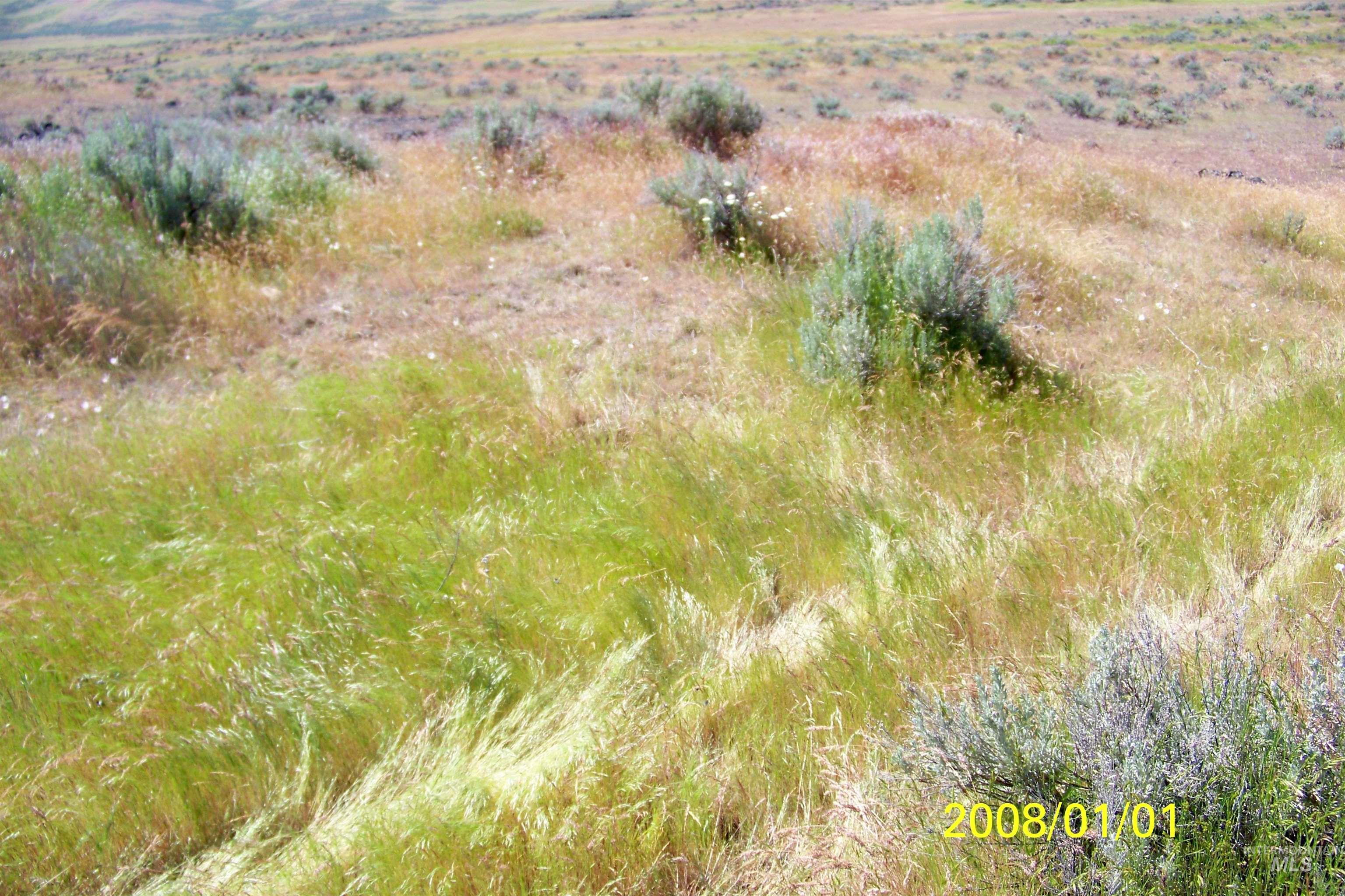 Tbd Indian Valley Road Property Photo 7