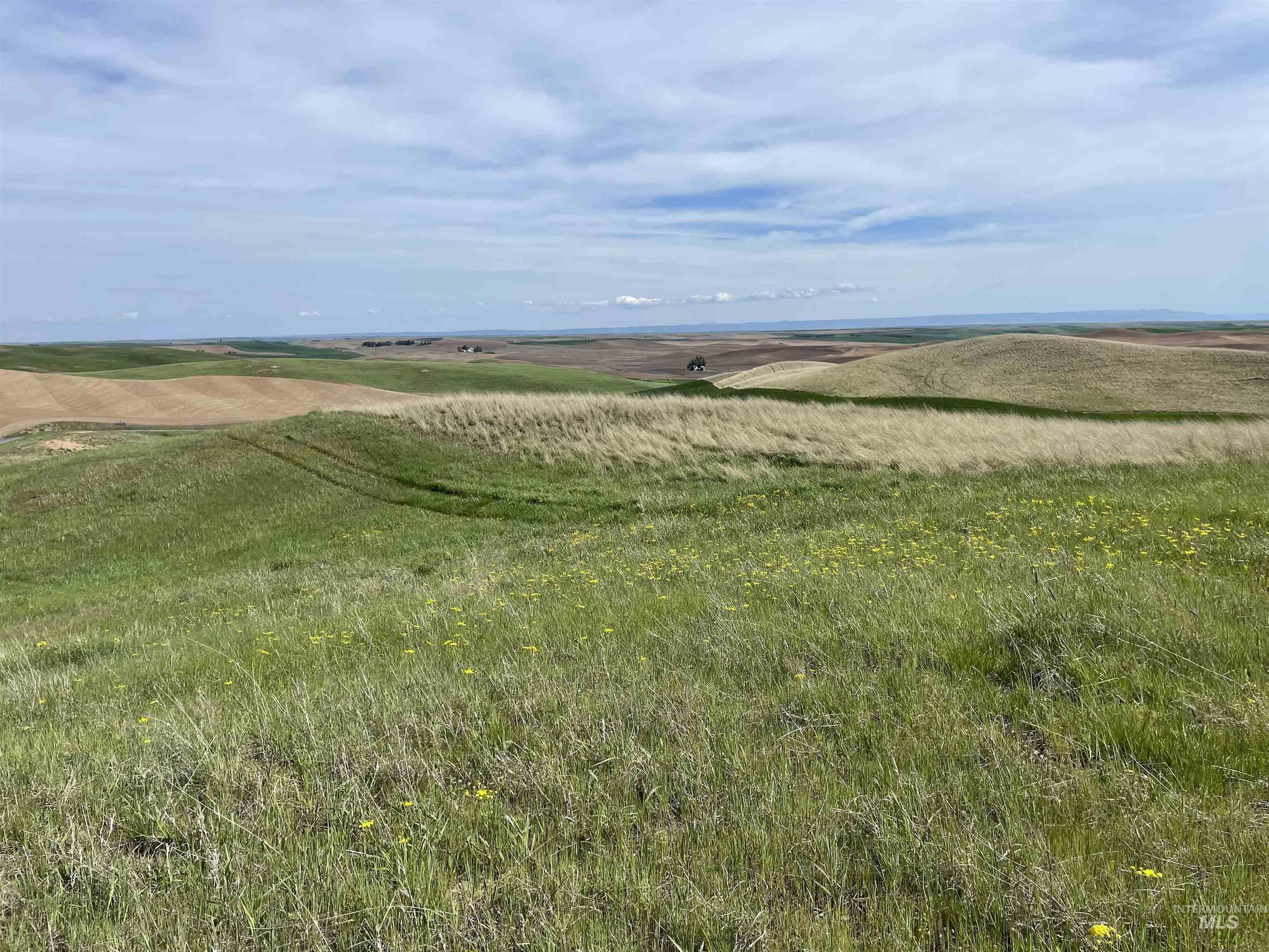 Nka Jacksha Property Photo 1