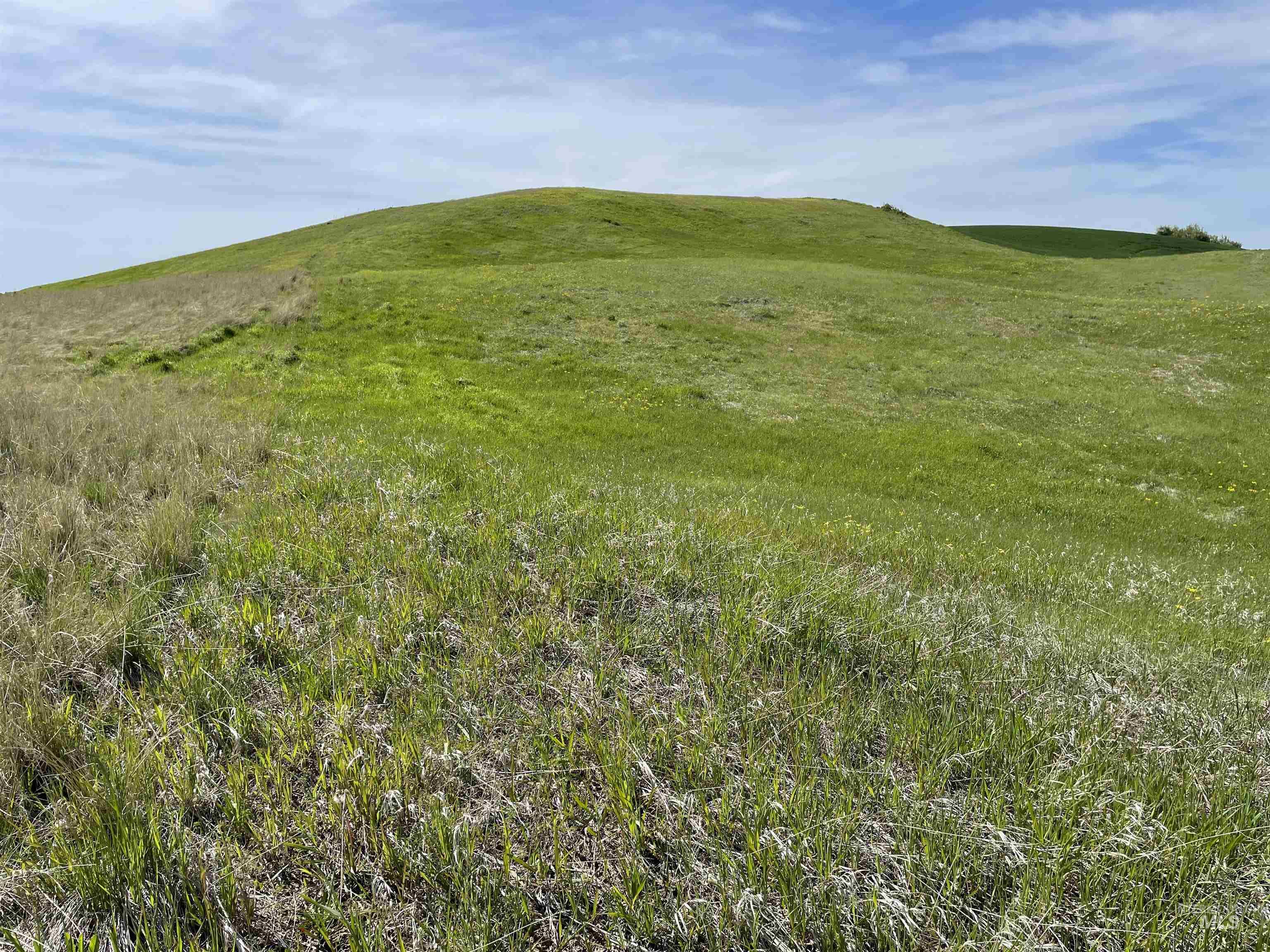 Nka Jacksha Property Photo 3
