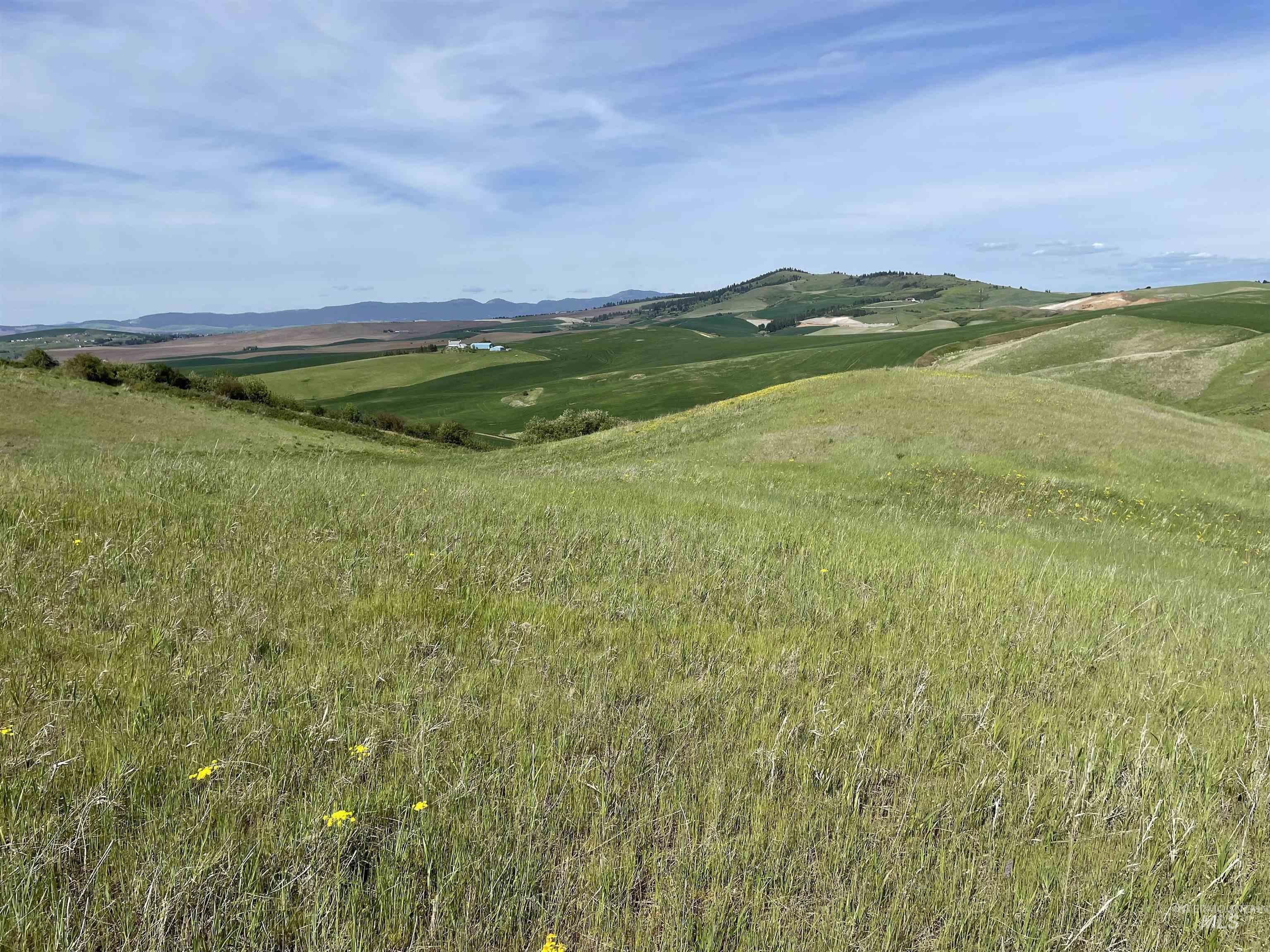 Nka Jacksha Property Photo 4