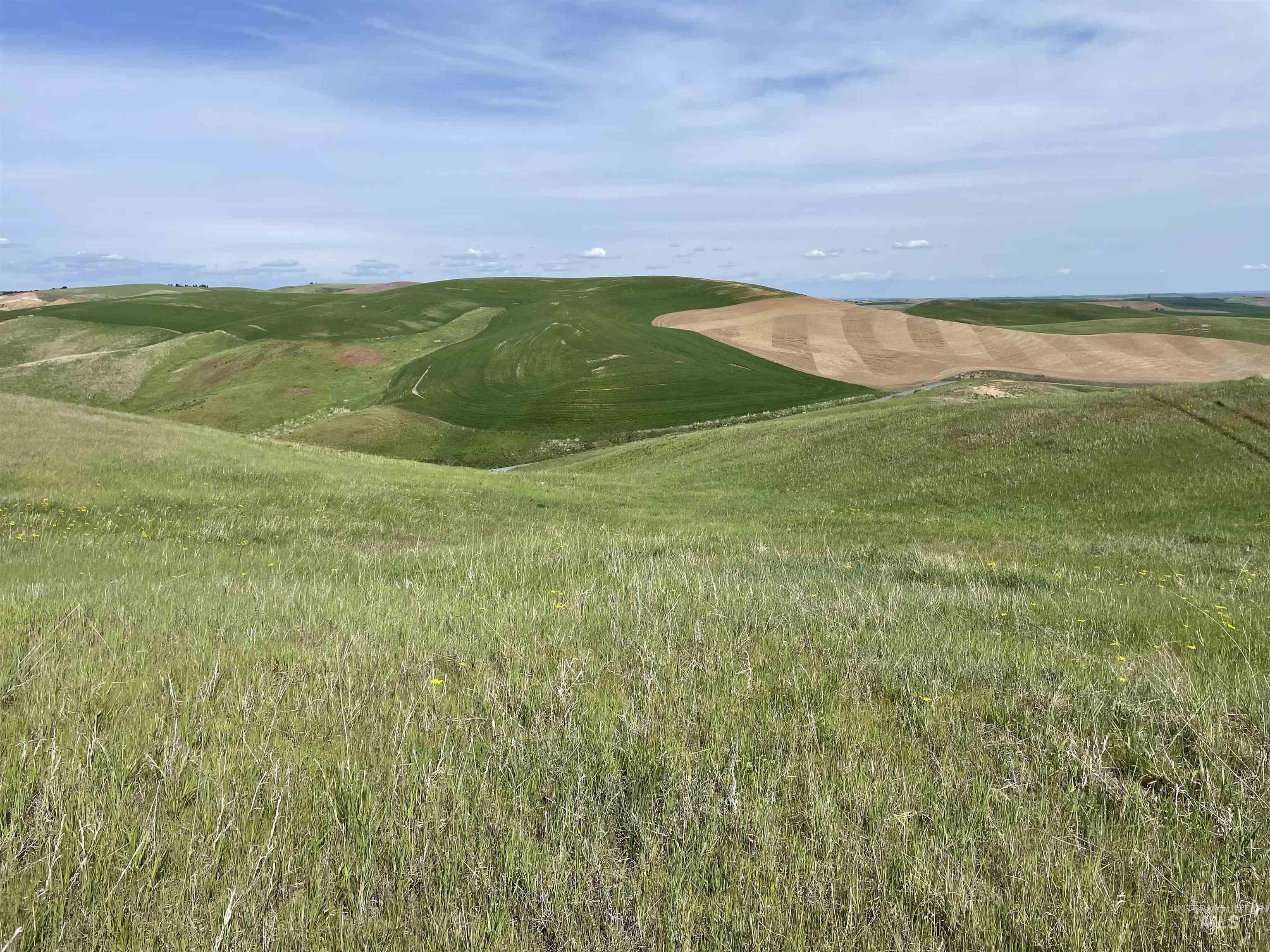Nka Jacksha Property Photo 6