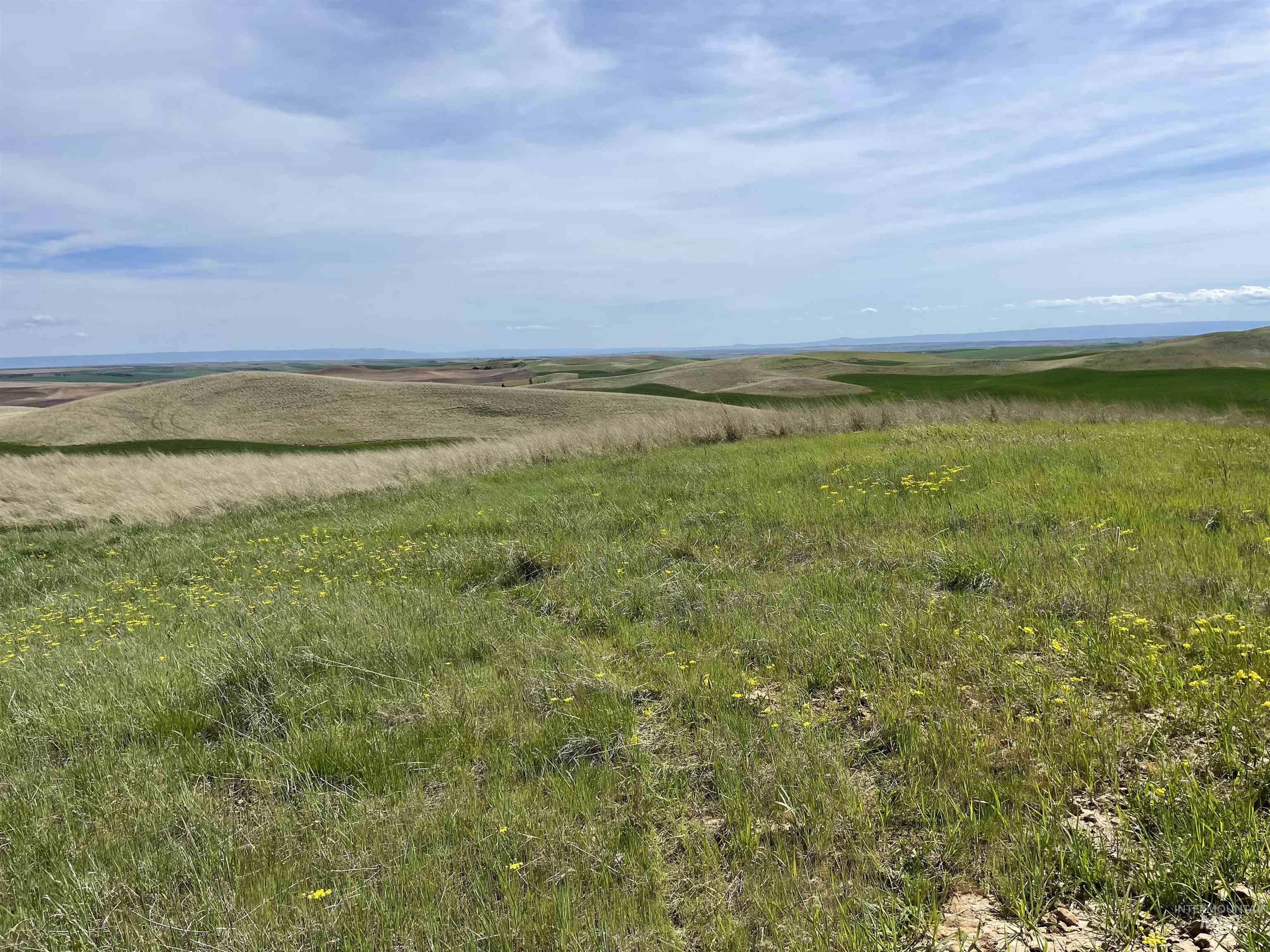 Nka Jacksha Property Photo 7