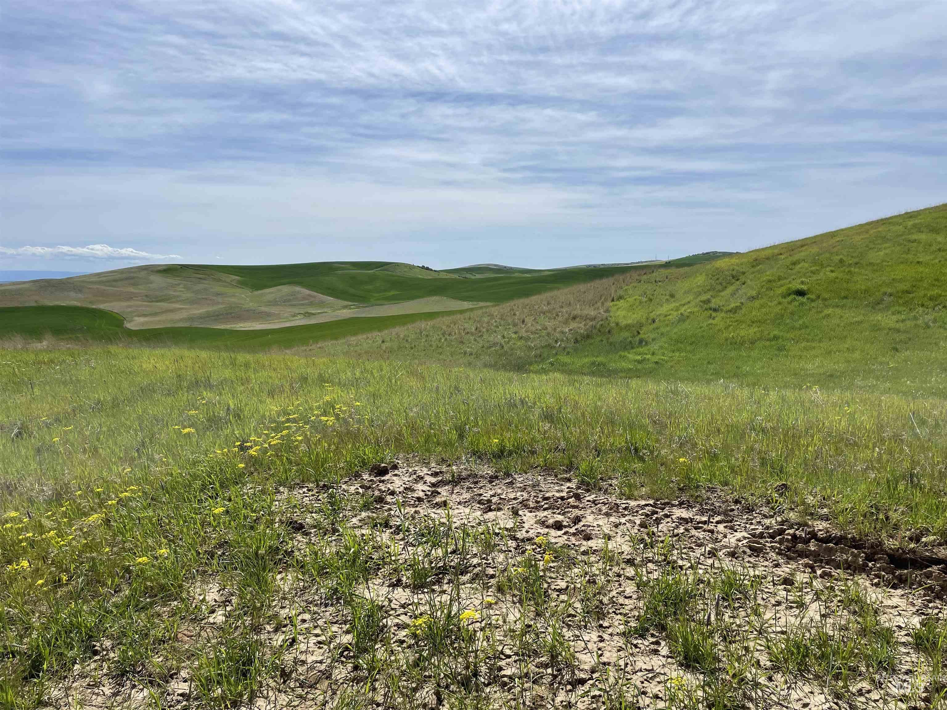 Nka Jacksha Property Photo 8