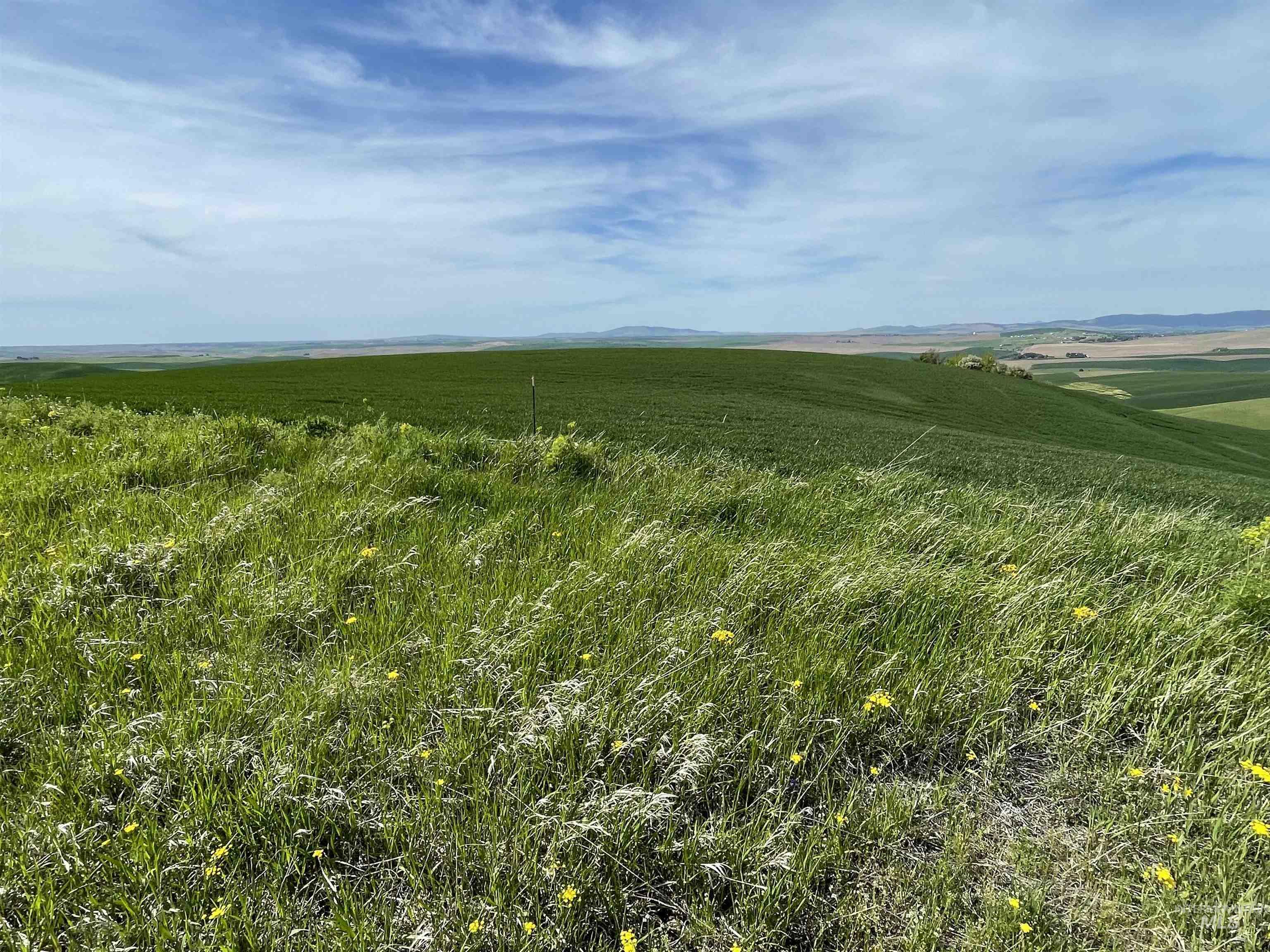 Nka Jacksha Property Photo 10