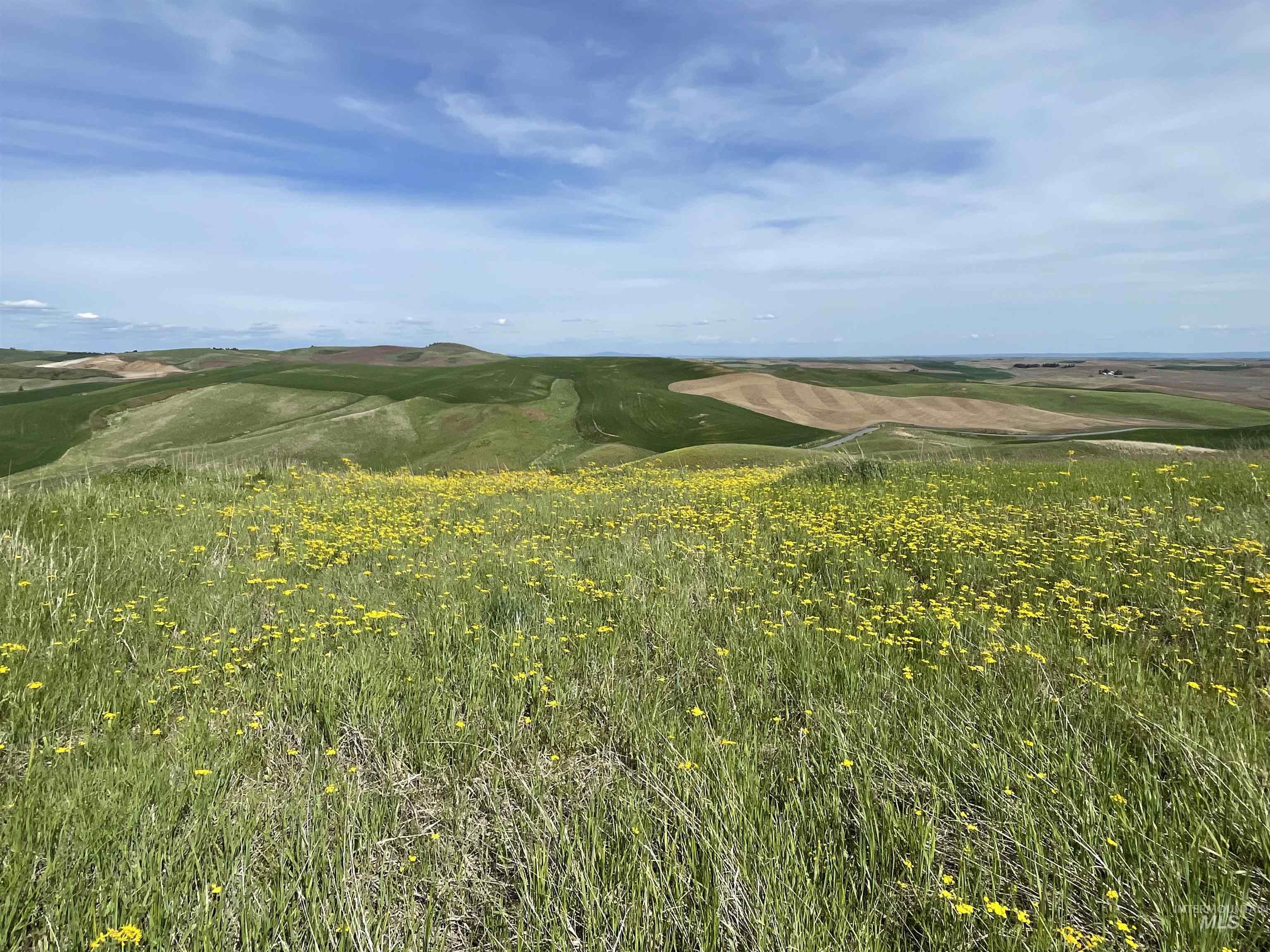 Nka Jacksha Property Photo 12