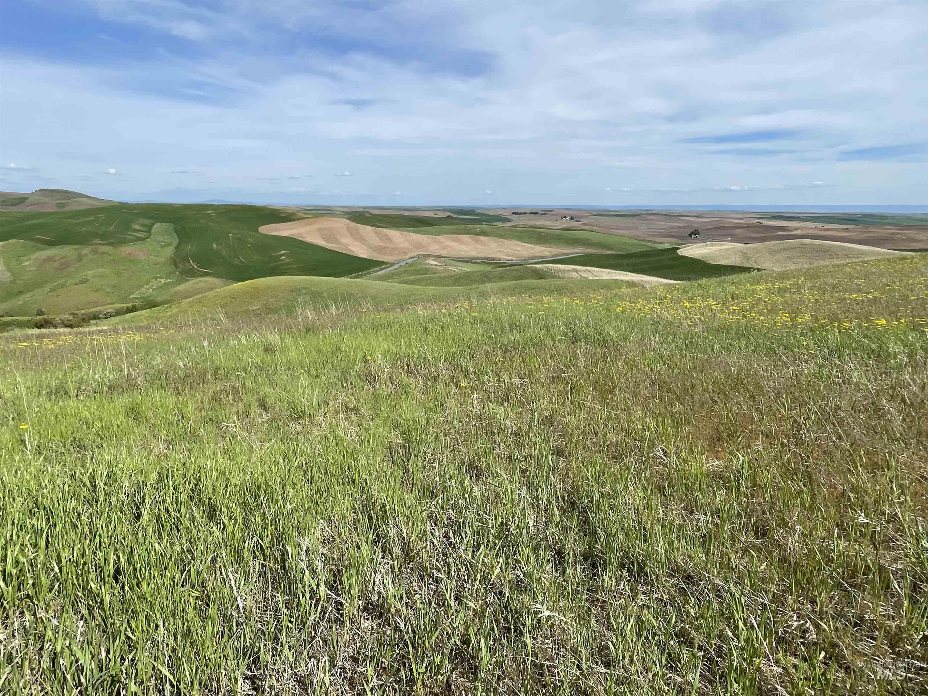 Nka Jacksha Property Photo 13