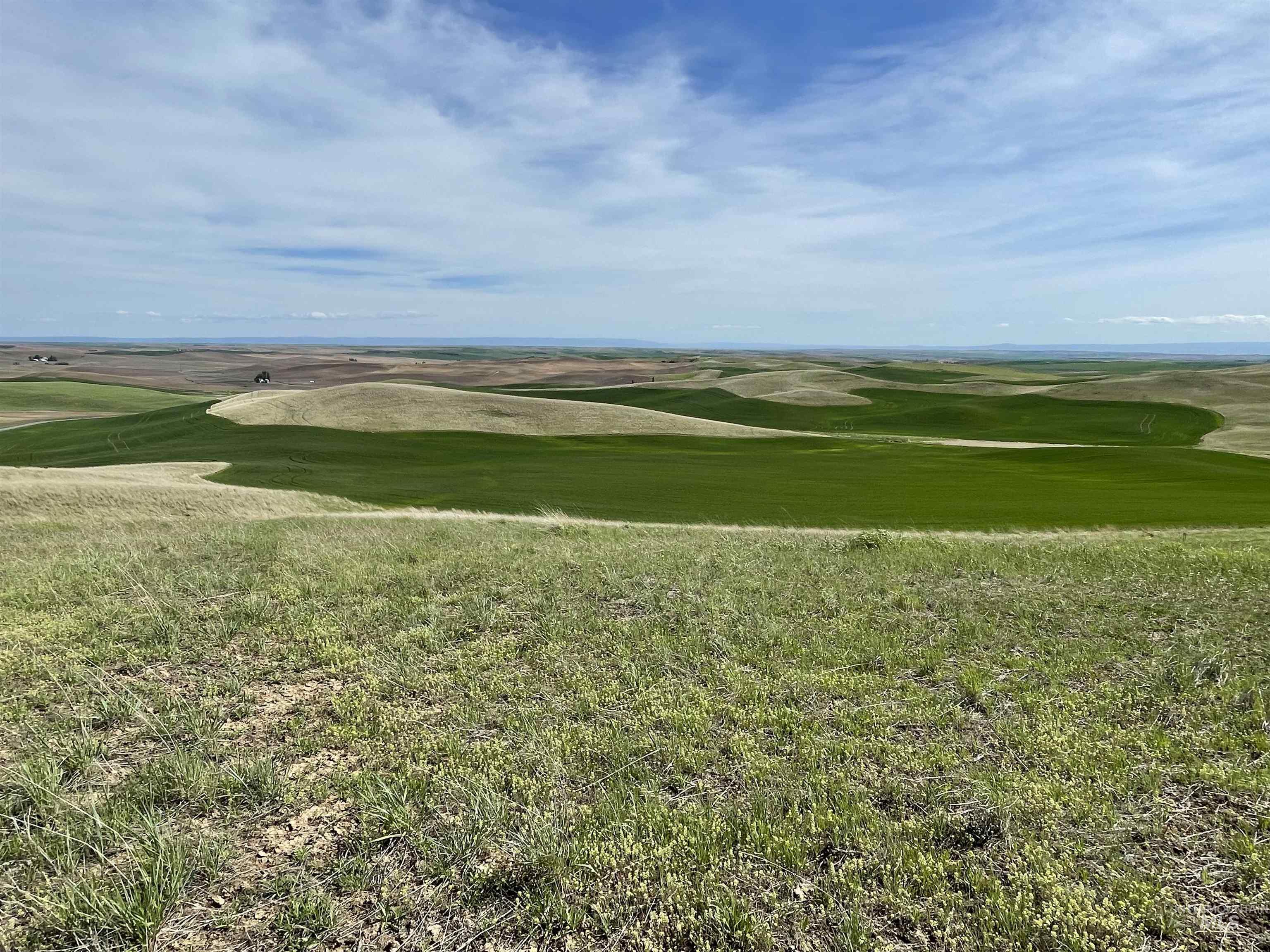Nka Jacksha Property Photo 16