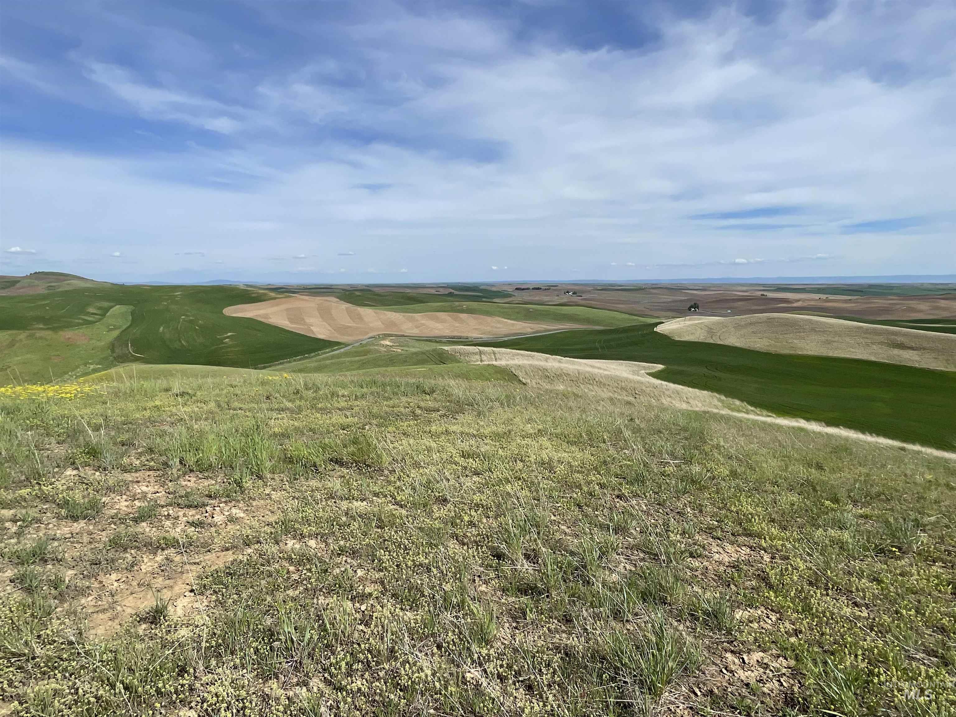 Nka Jacksha Property Photo 17