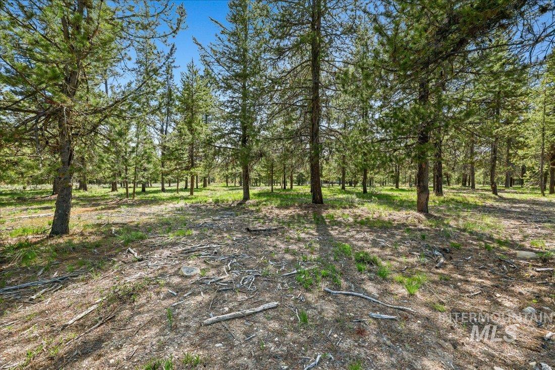 Lot 4 Chad Drive Property Photo 2
