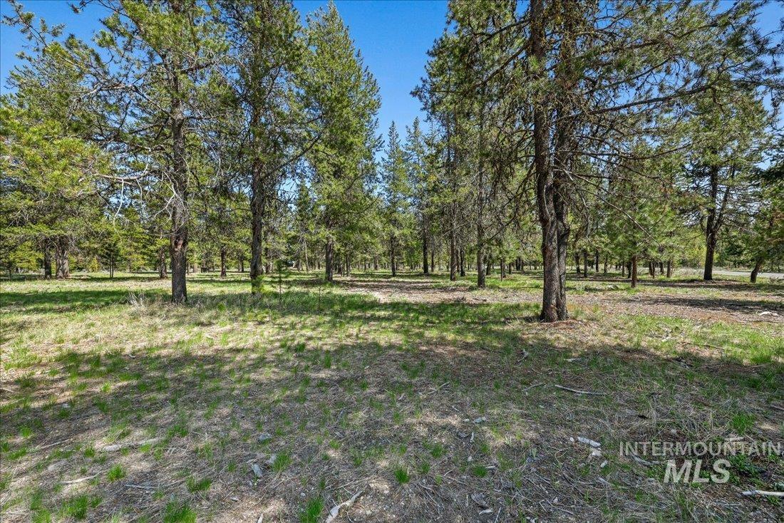 Lot 4 Chad Drive Property Photo 3
