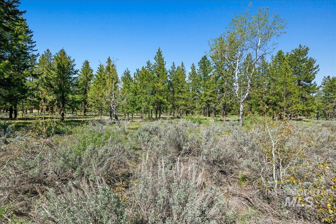 Lot 6 Coy Road Property Photo 10