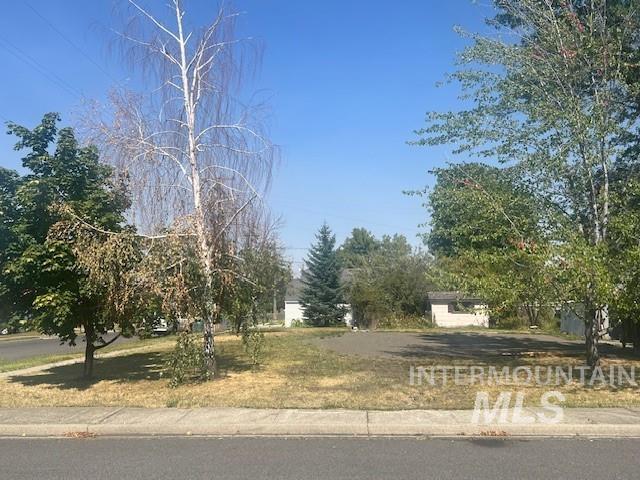 515 S Meadow Property Photo 3