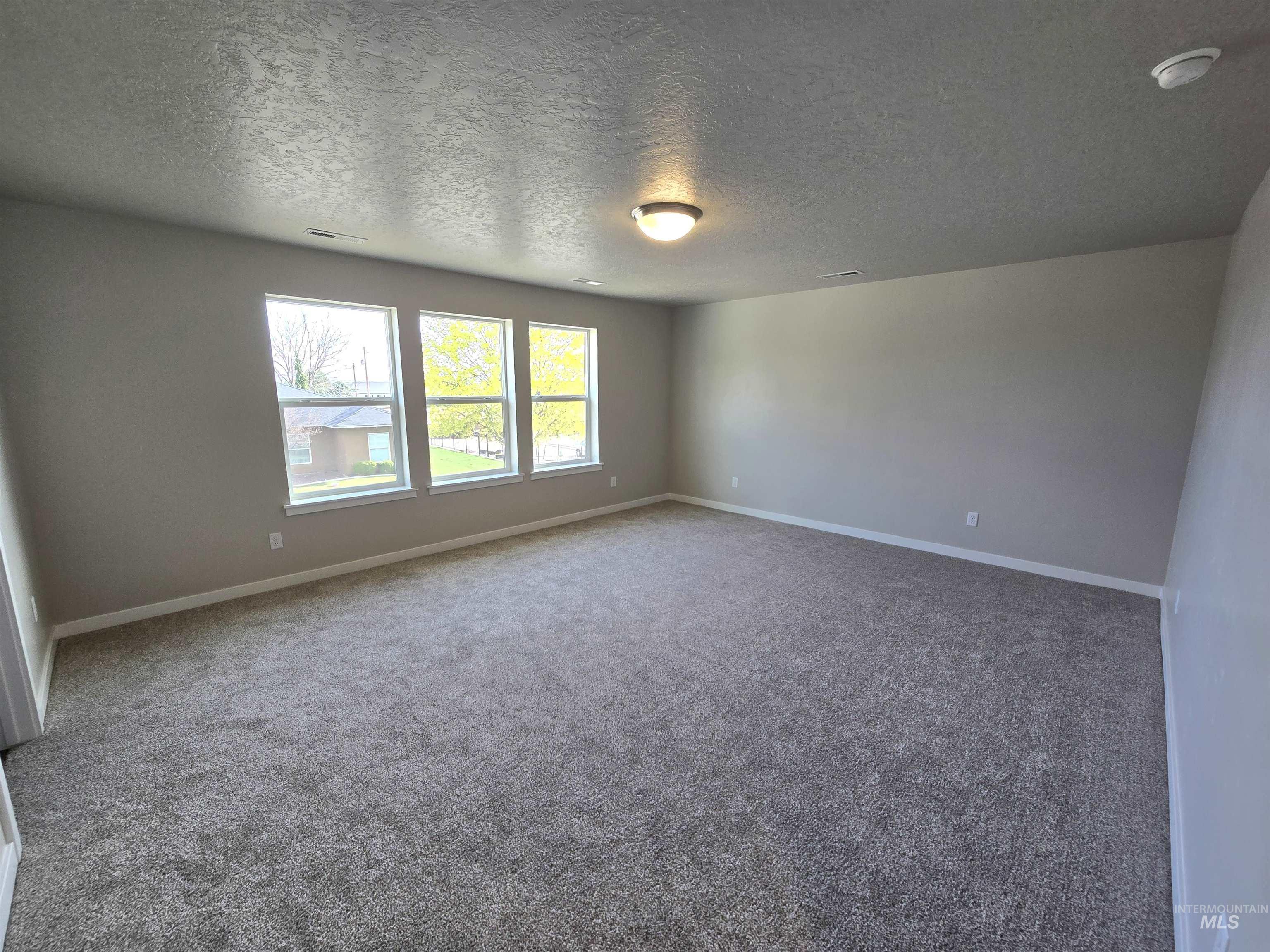 12421 Cole Ridge St Property Photo 15