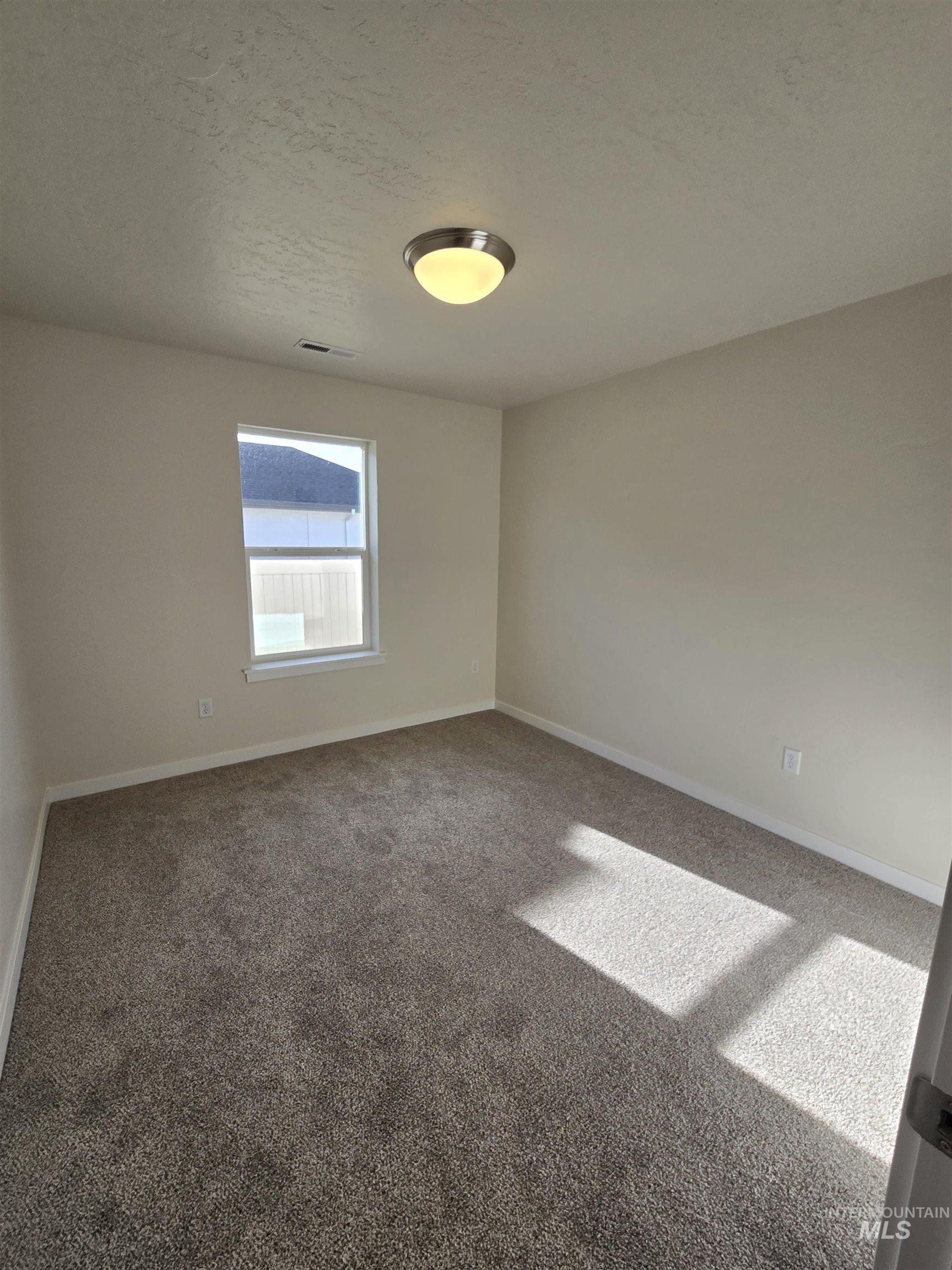 12441 Cole Ridge St Property Photo 4