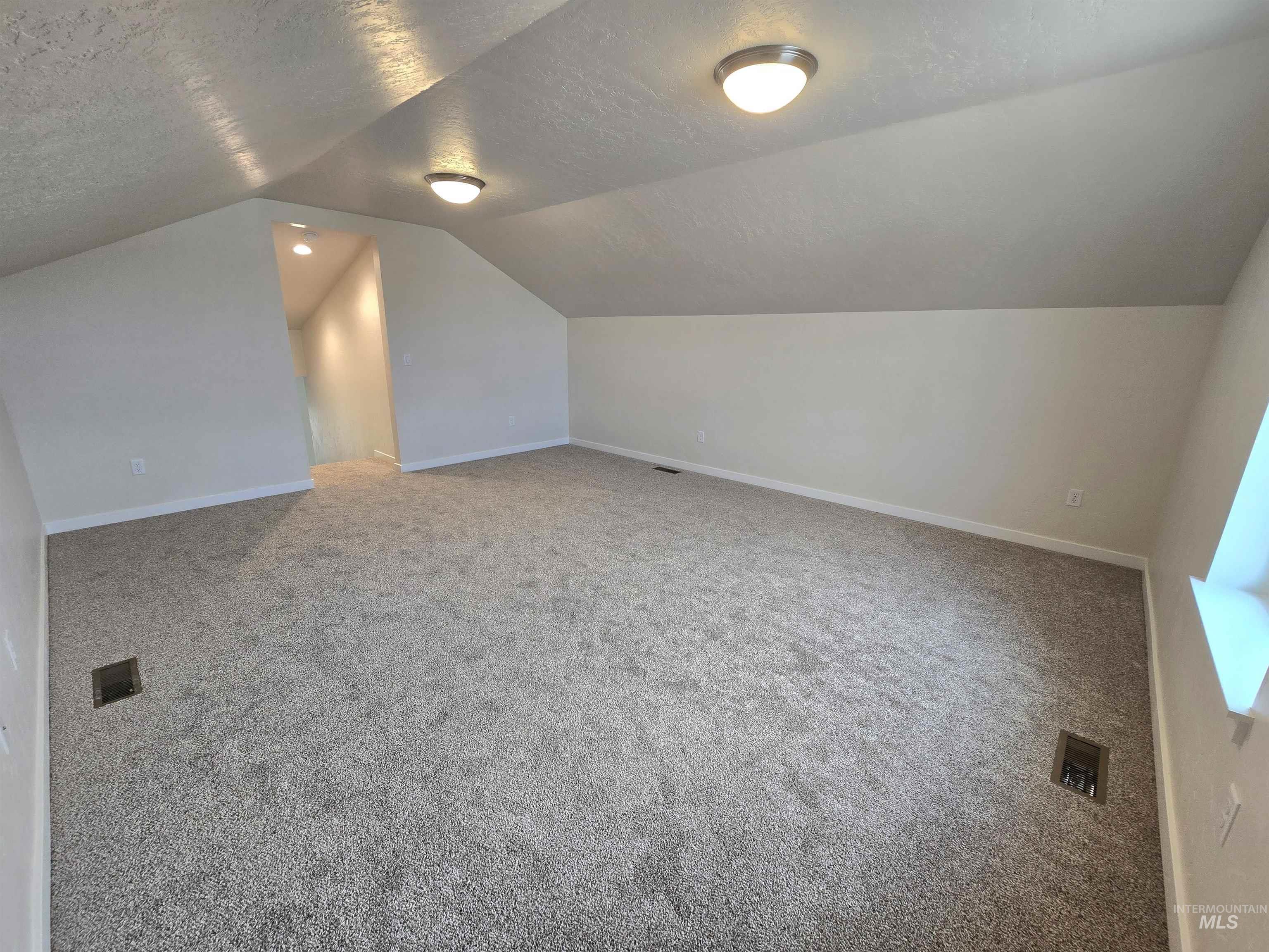 12441 Cole Ridge St Property Photo 19