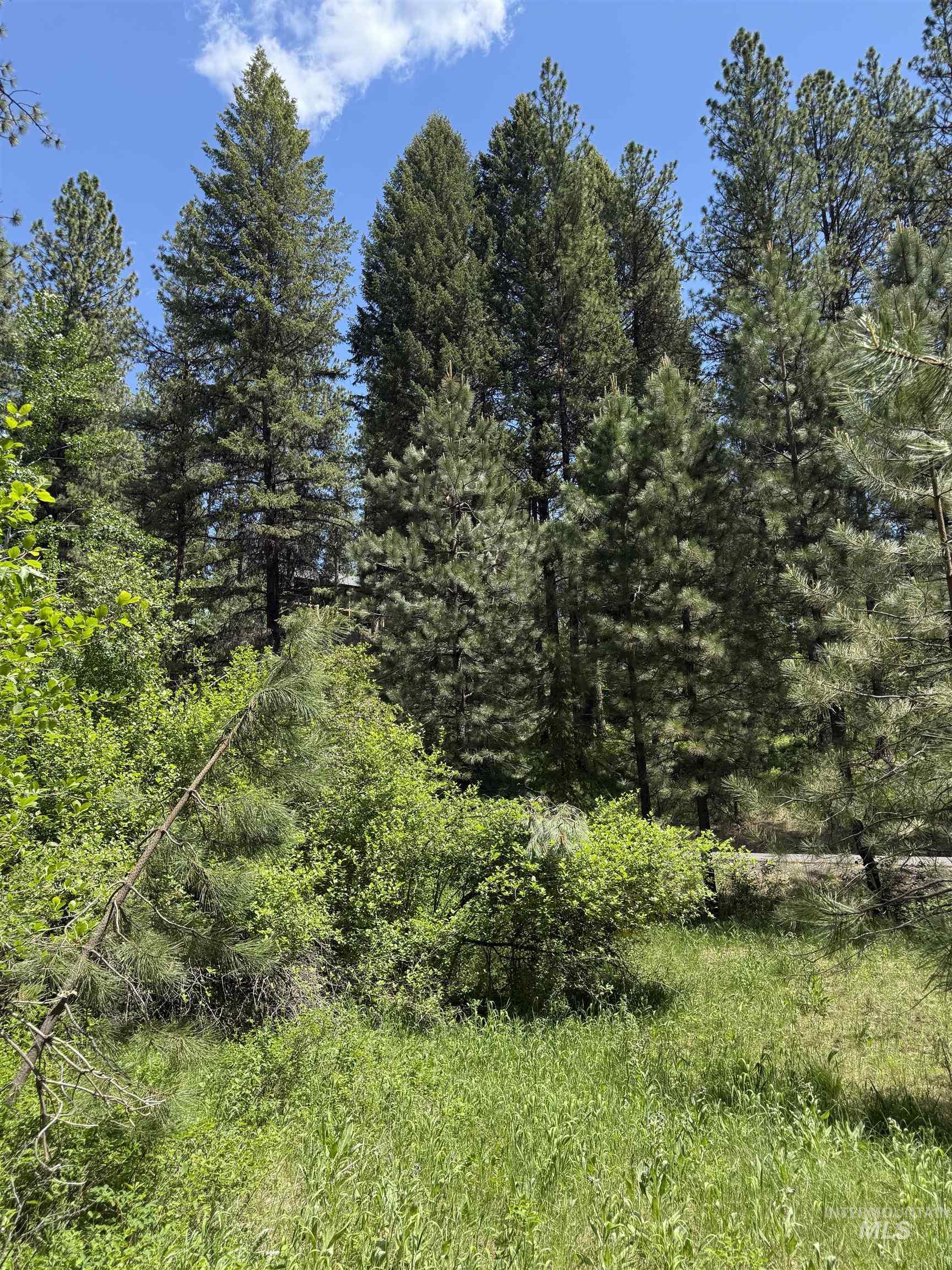 Lot 2 Yampa Court Property Photo 1