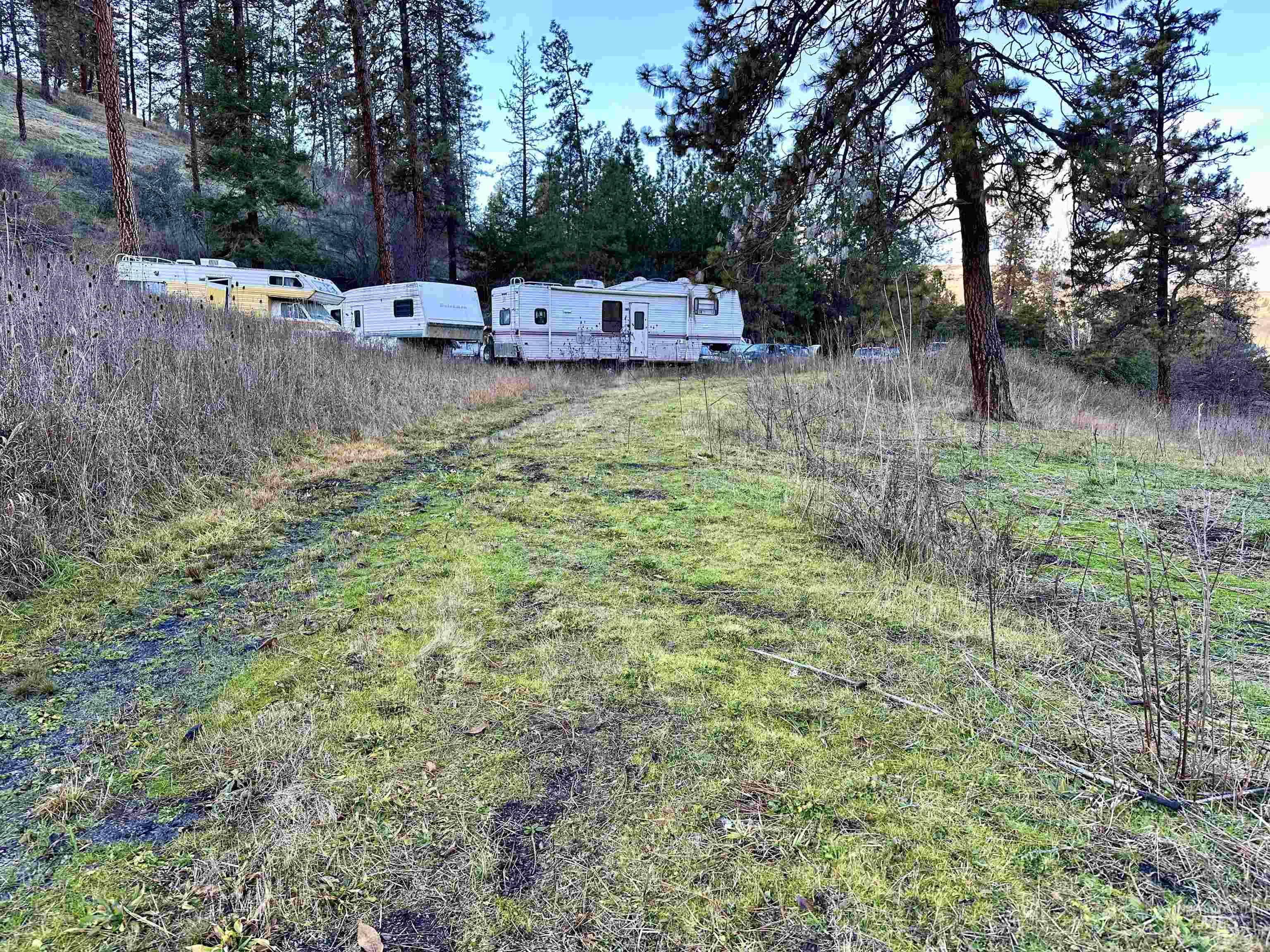 2685 Lukes Gulch Road Property Photo 16