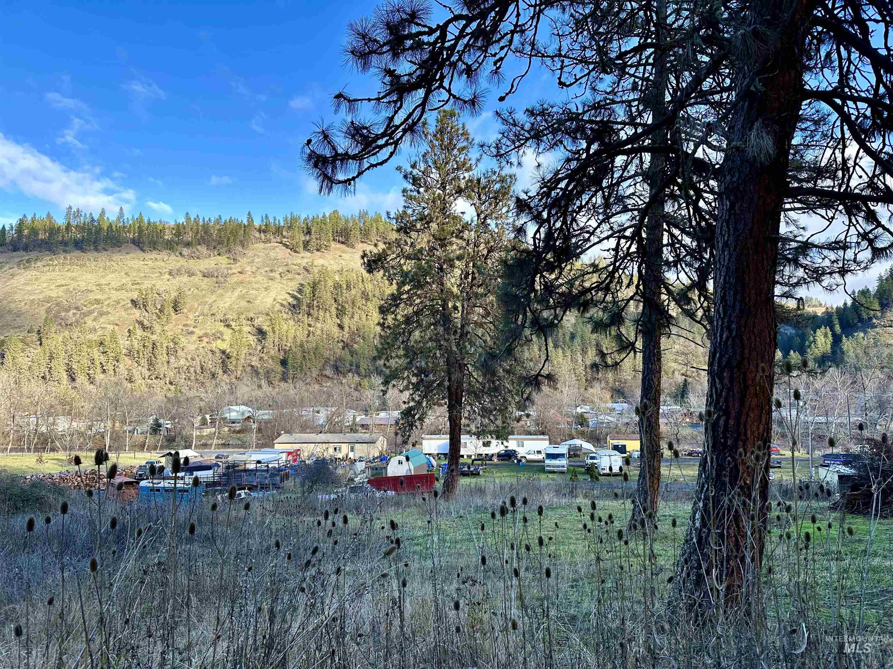2685 Lukes Gulch Road Property Photo 19