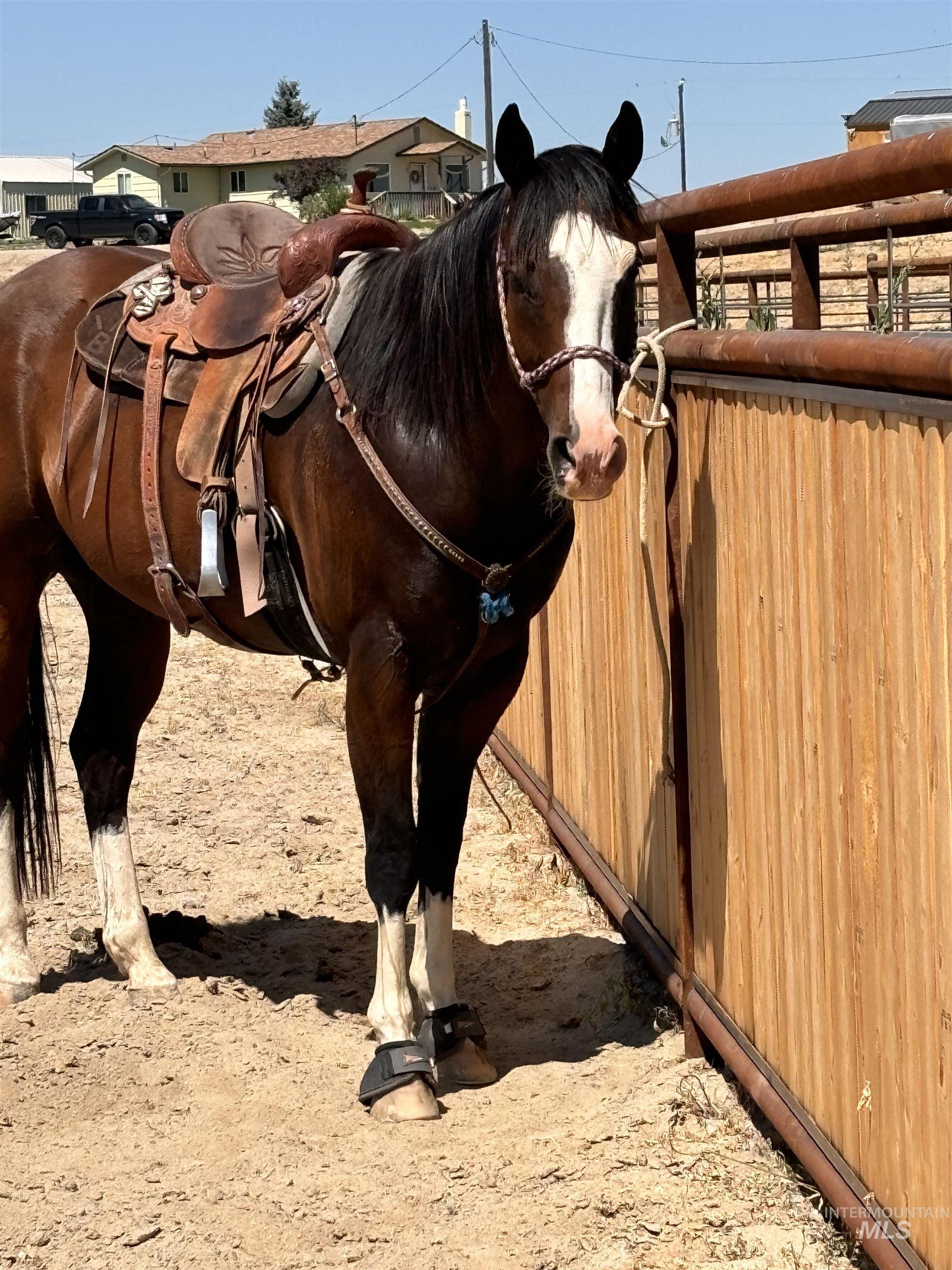 5311 & 5293 Hwy 72 Property Photo 33