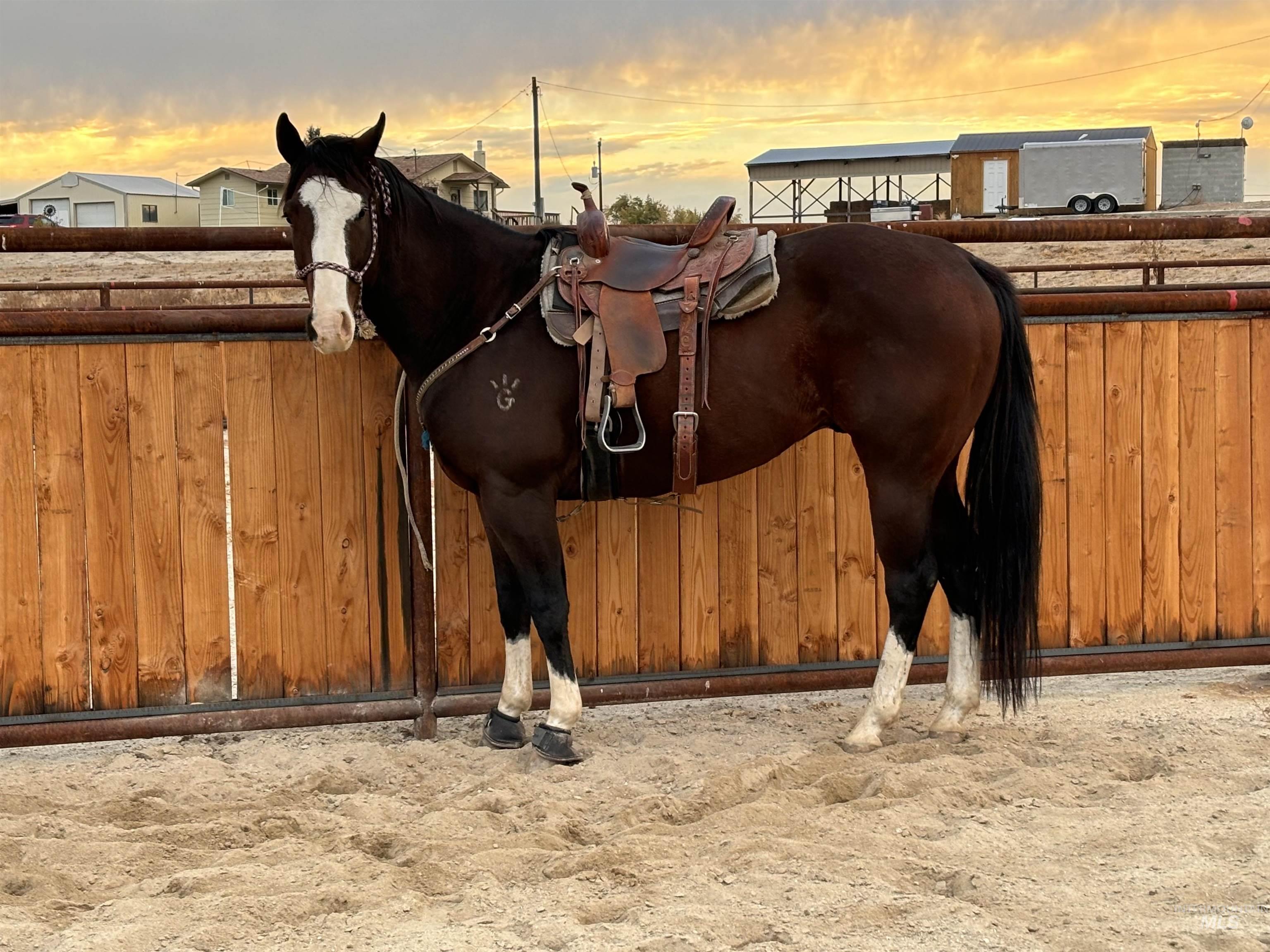 5311 & 5293 Hwy 72 Property Photo 44