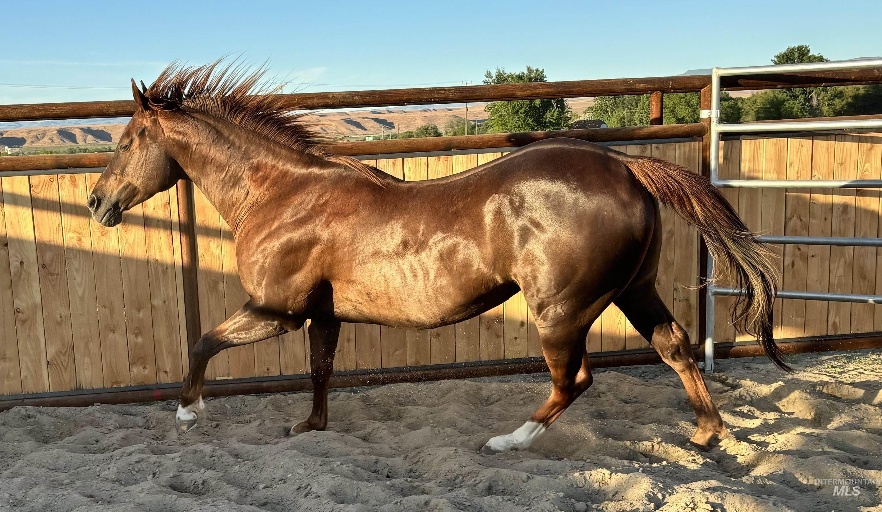 5311 & 5293 Hwy 72 Property Photo 46