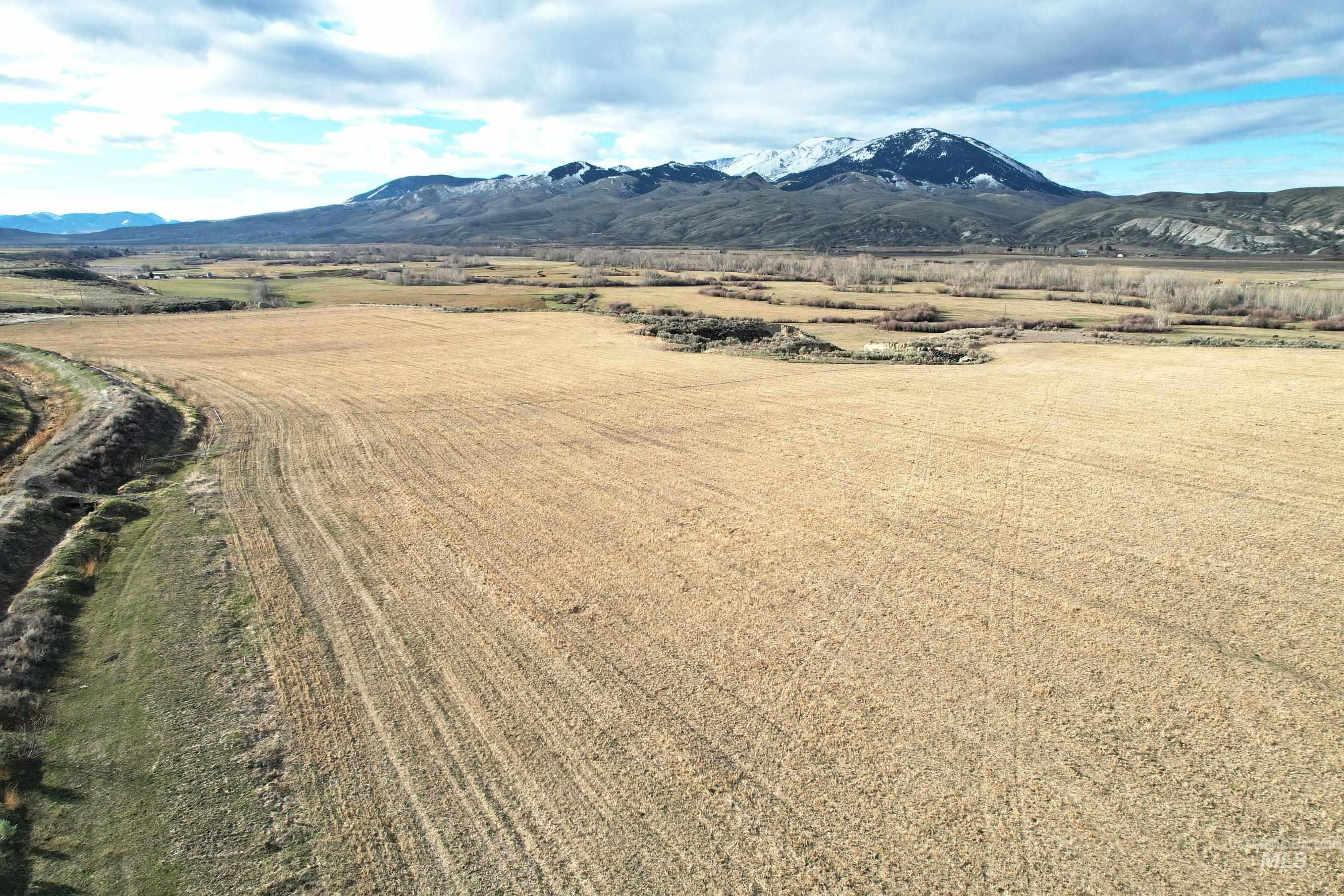 536 Lemhi Road Property Photo 4