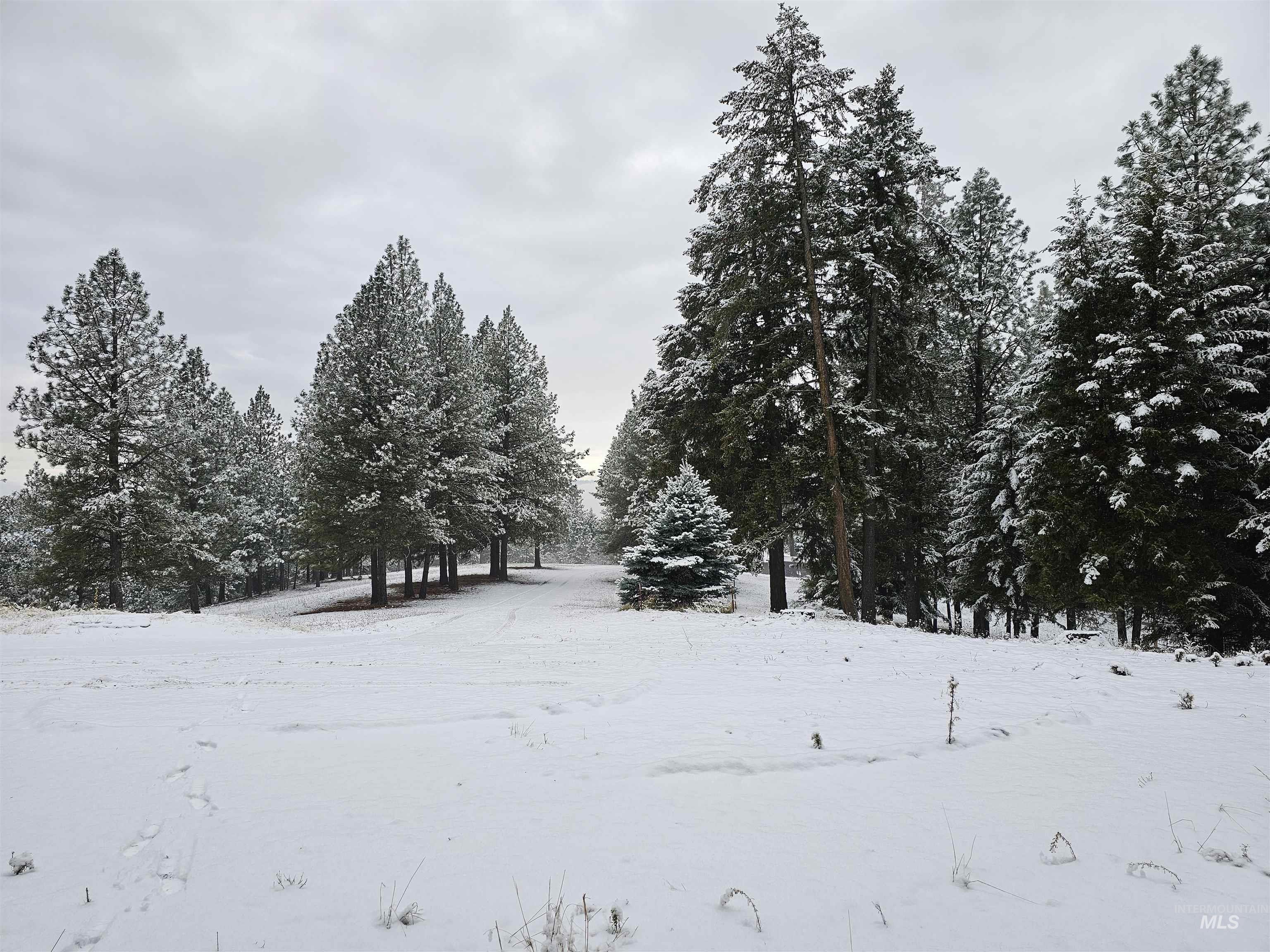 367 Crestview Drive Property Photo 49