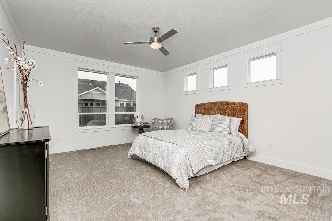 4667 S Courvoisier Ave Property Photo 15