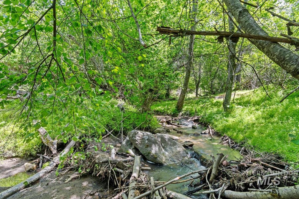 23700 Timber Flat Rd Property Photo 28
