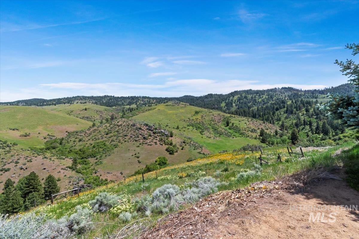23700 Timber Flat Rd Property Photo 29