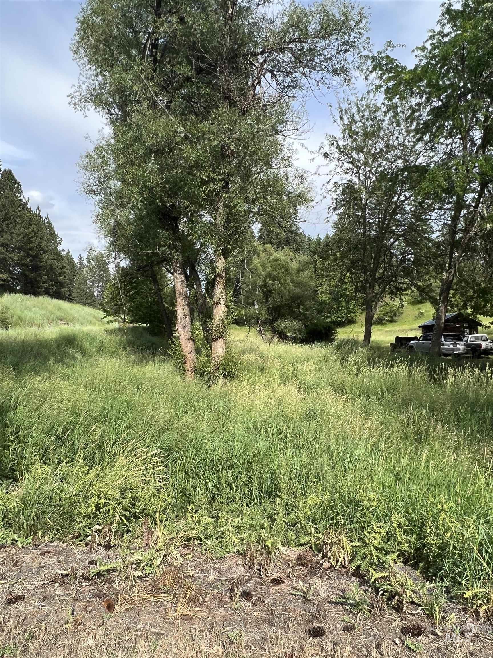 698 Leitch Creek Rd Property Photo 44