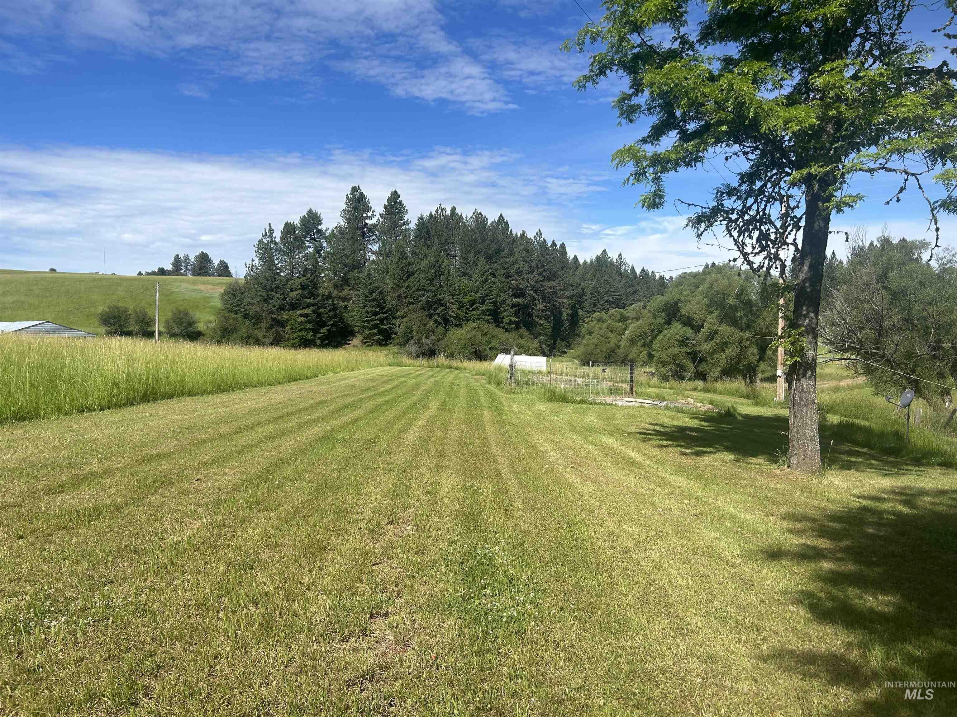 698 Leitch Creek Rd Property Photo 49