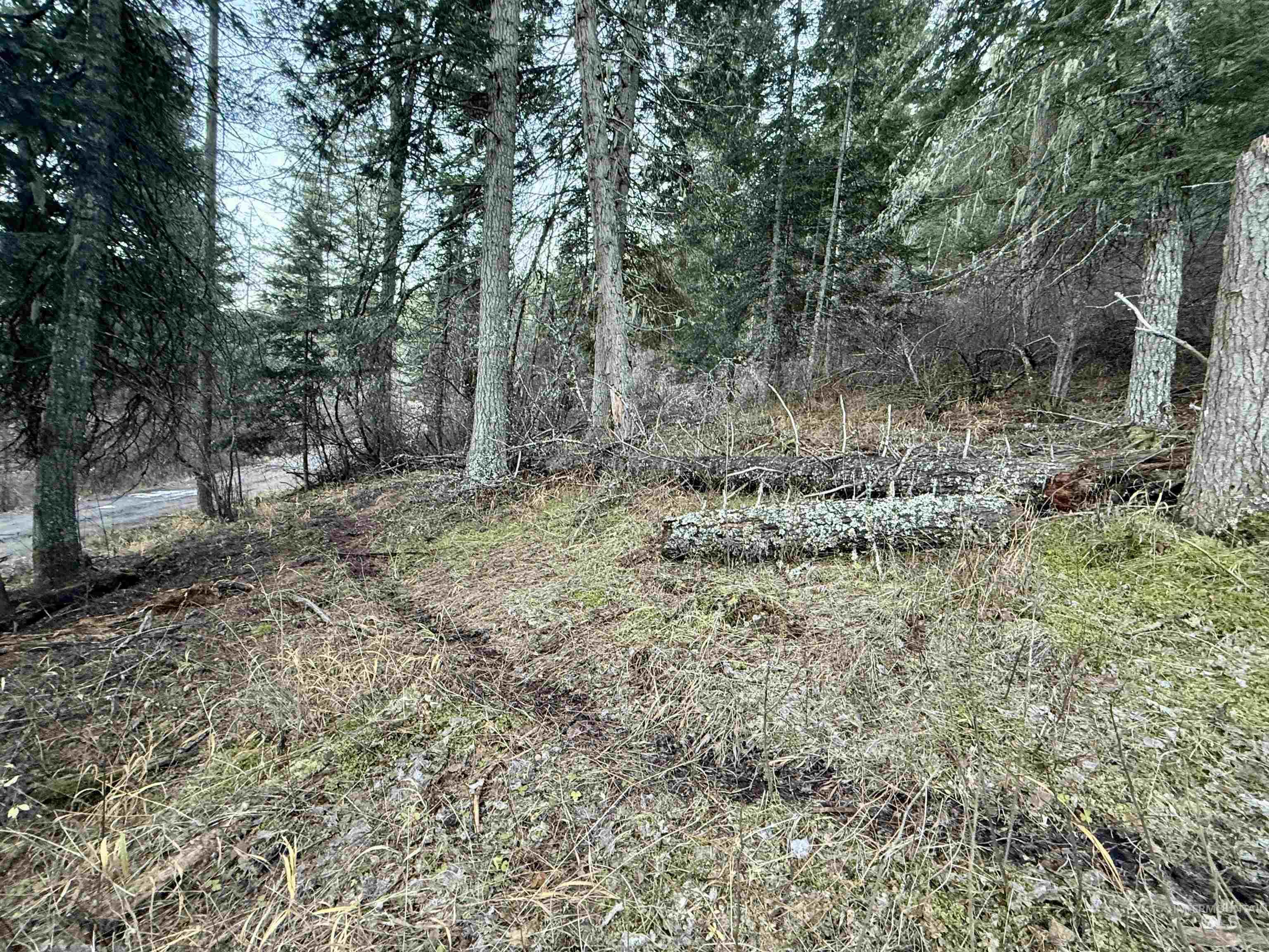 497 Pheasant Drive Property Photo 49