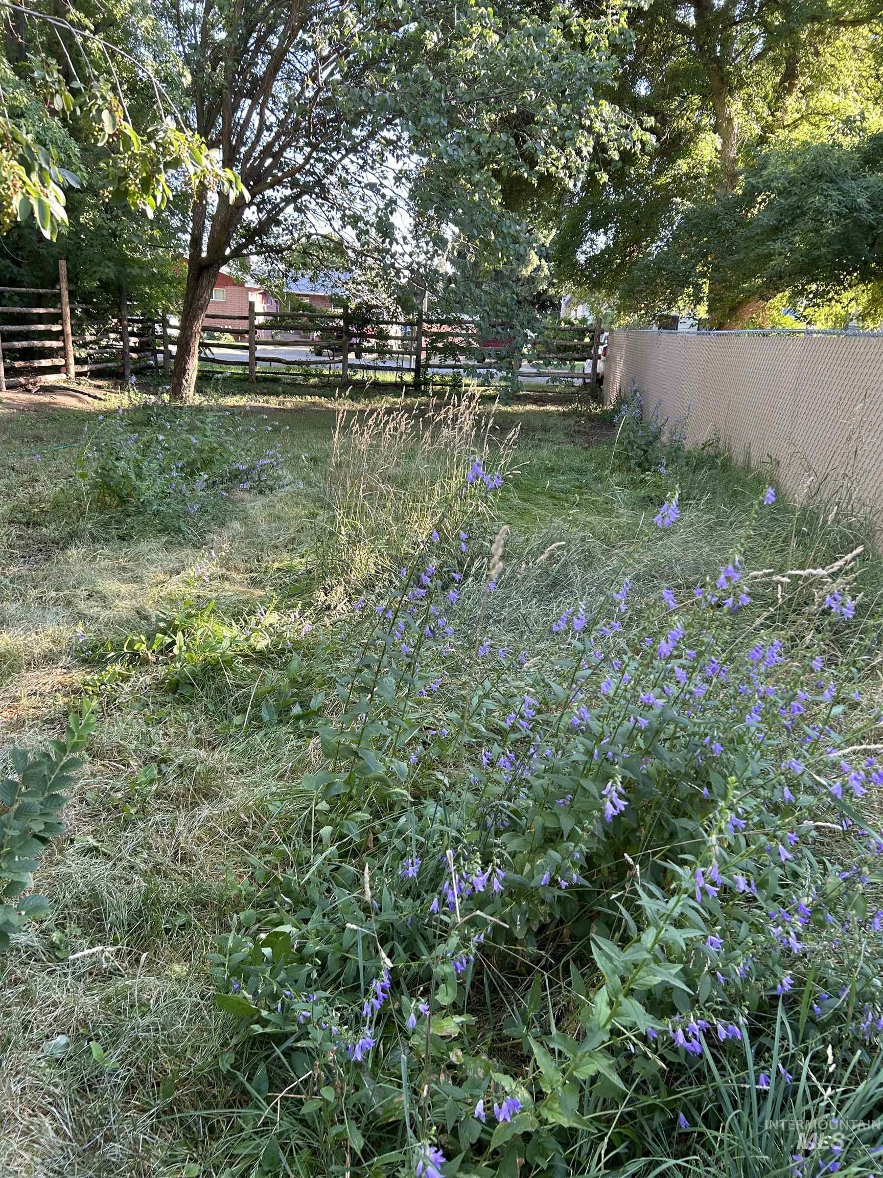 309 E E C St Property Photo 6
