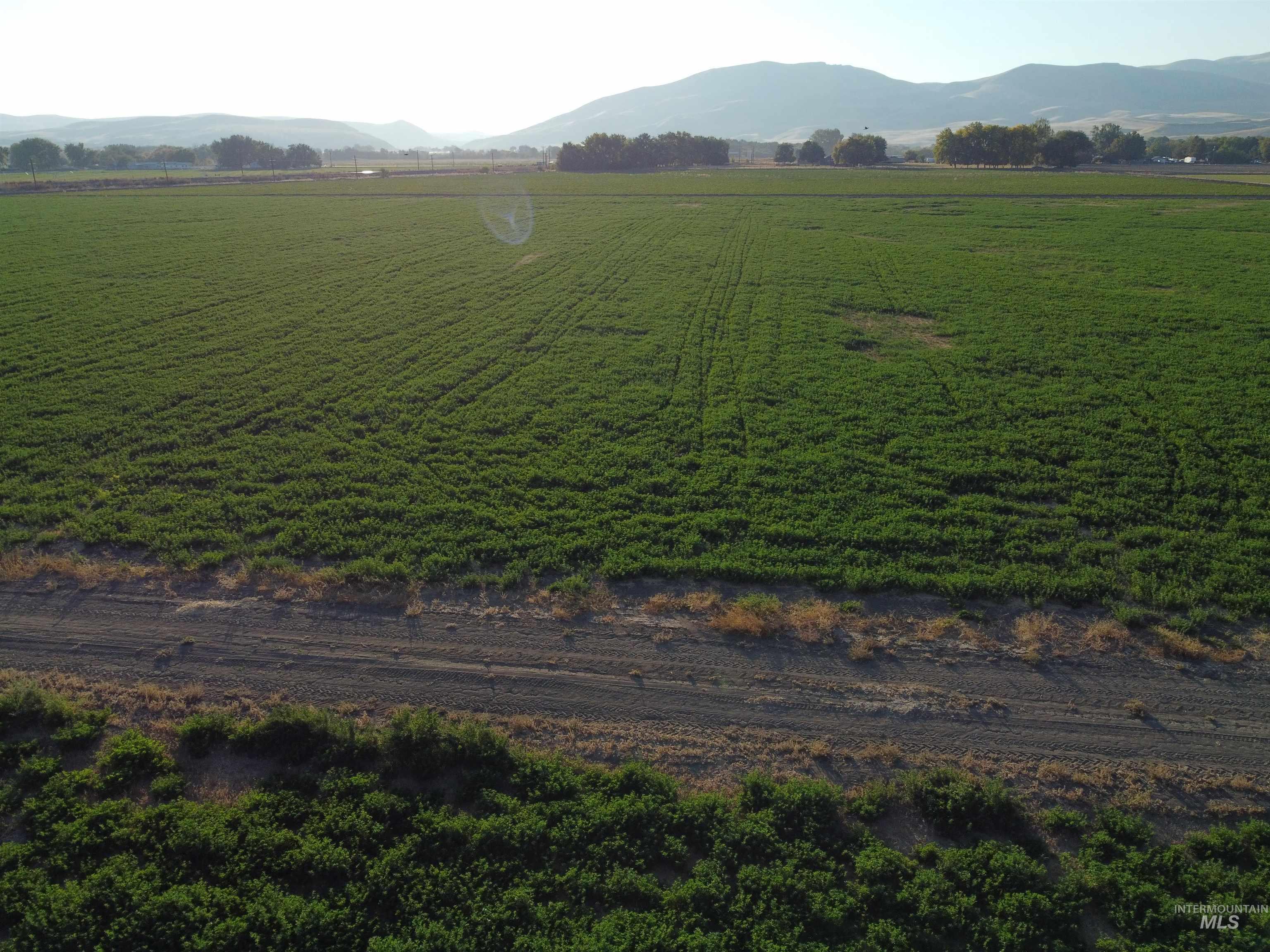 Tbd Old's Ferry Road Property Photo 6