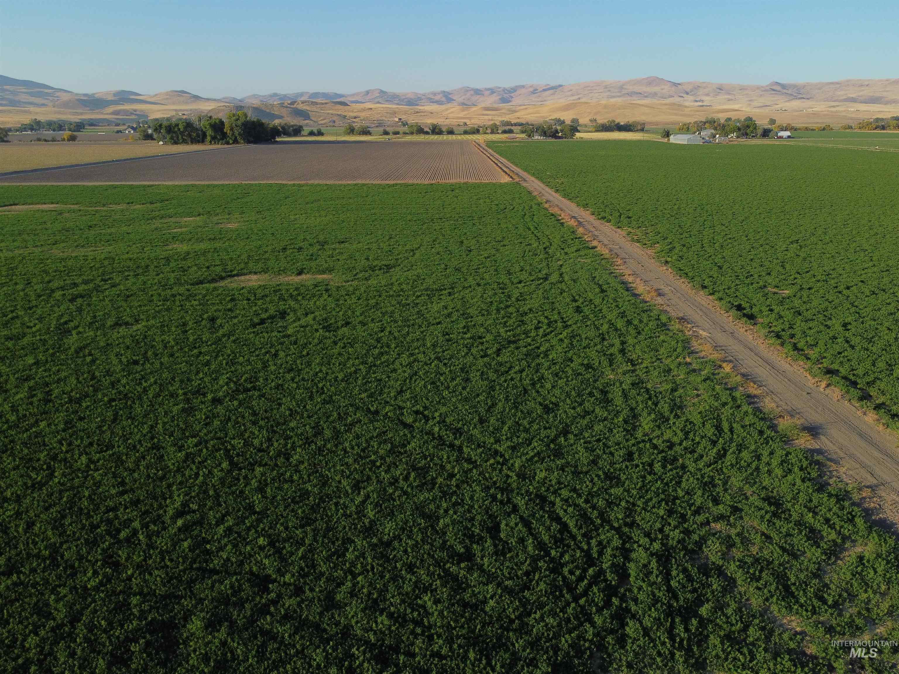 Tbd Old's Ferry Road Property Photo 18