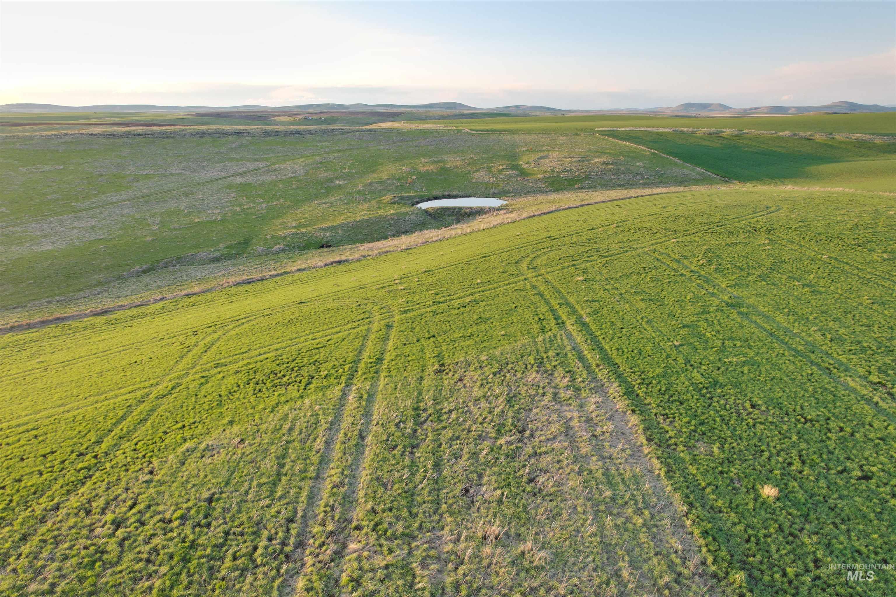 Tbd Creek View Lane - Lot 4 Property Photo 3