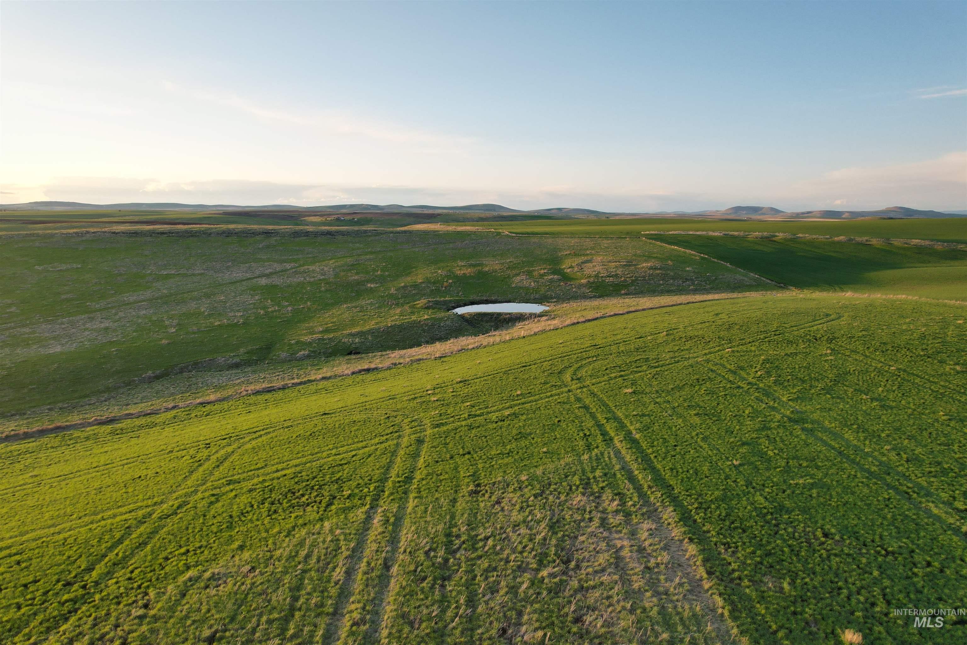 Tbd Creek View Lane - Lot 5 Property Photo 6