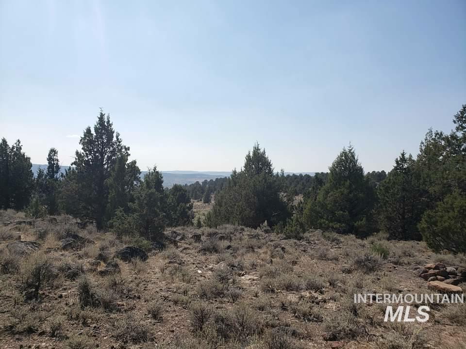 Tract 44 Triangle Ranch Property Photo 2