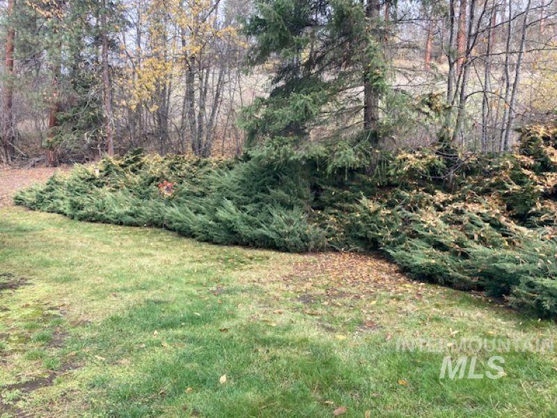 4785 Highway 12 Property Photo 6